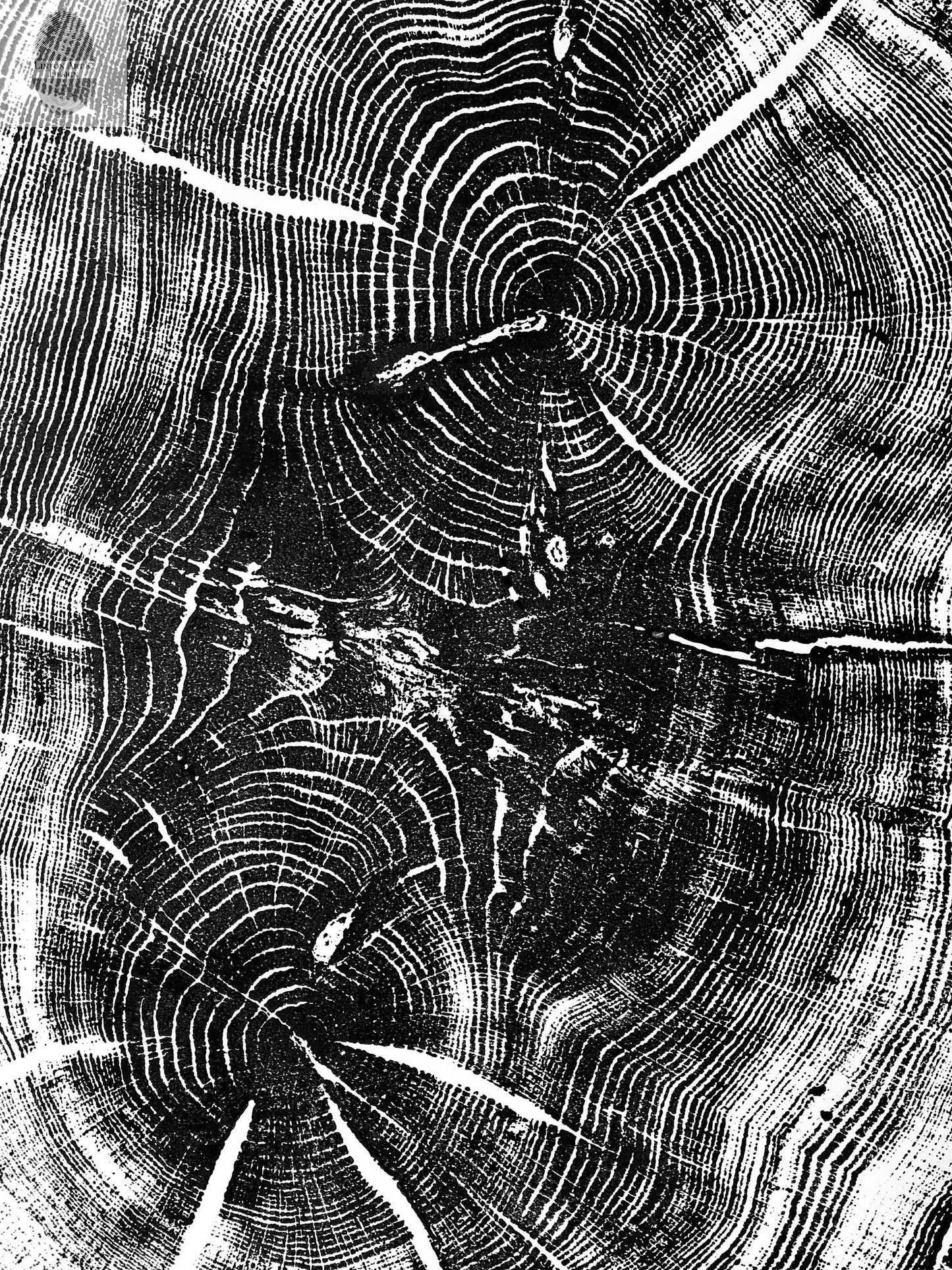 Nauvoo, Illinois Oak - 24x36 print lintonart