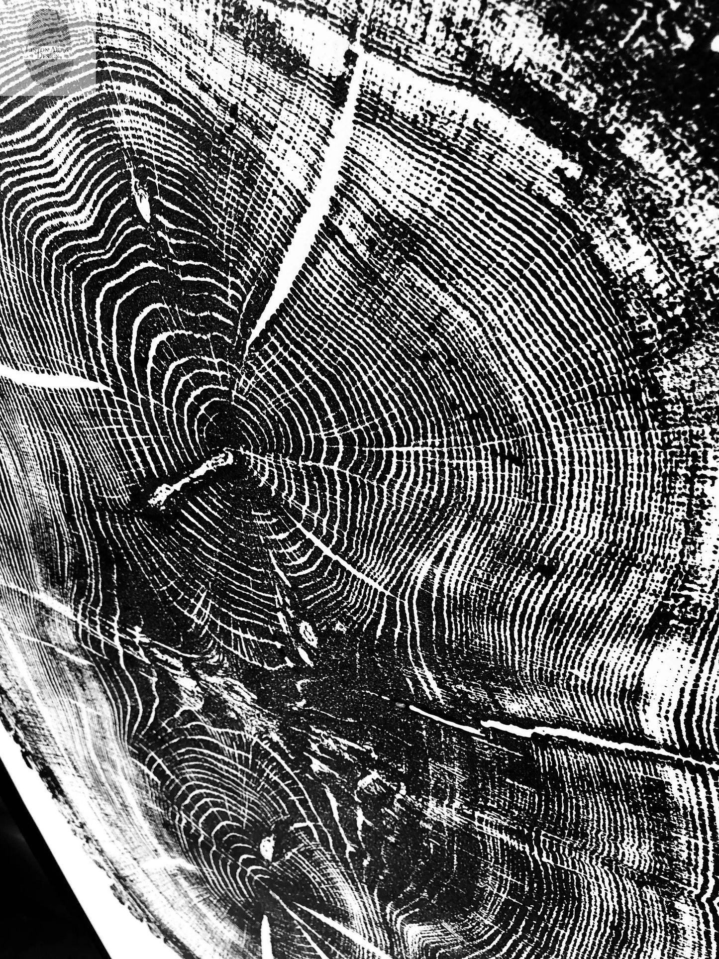 Nauvoo, Illinois Oak - 24x36 print lintonart