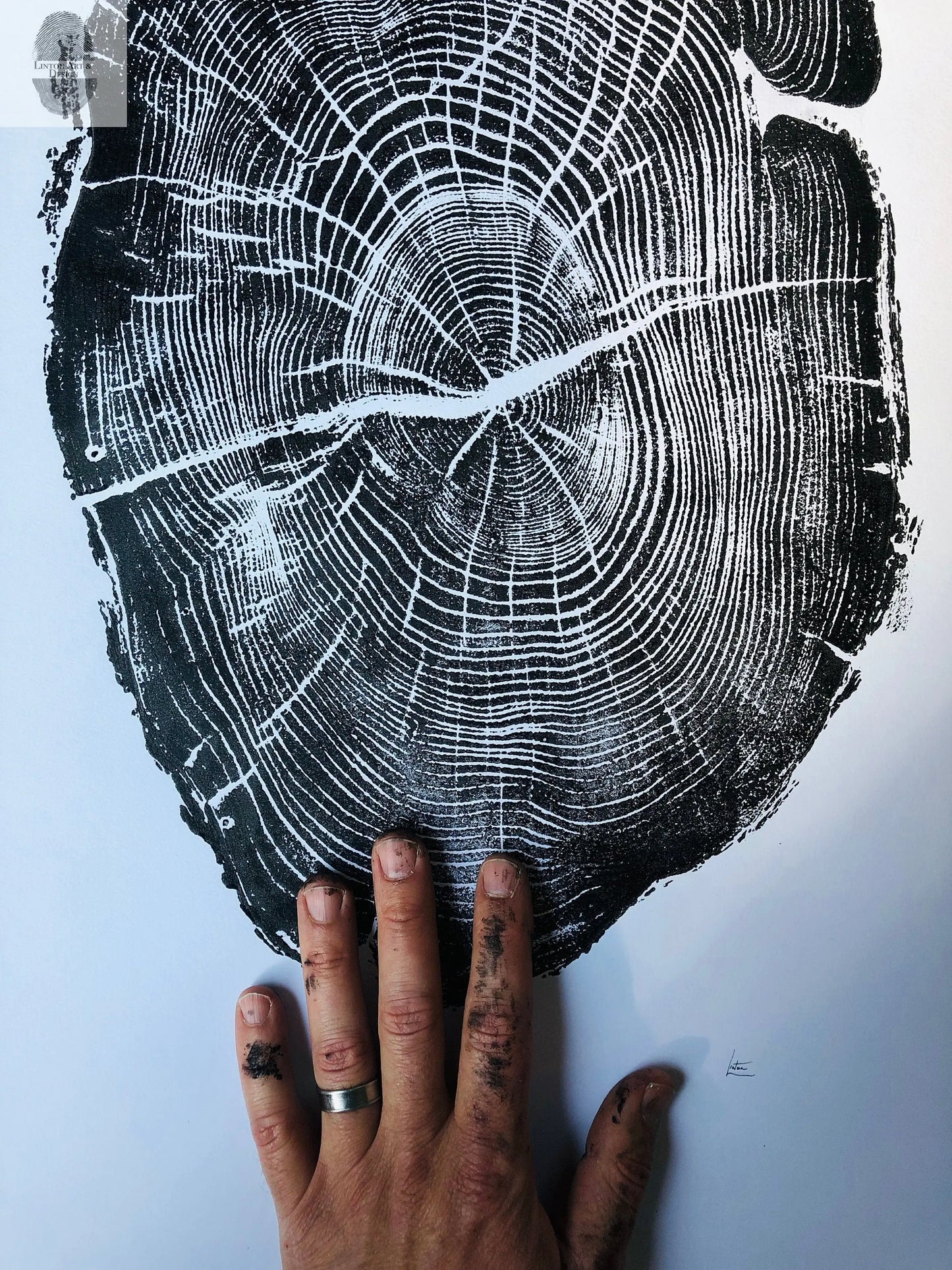 Nauvoo, Illinois Osage Orange - 18x24 print lintonart