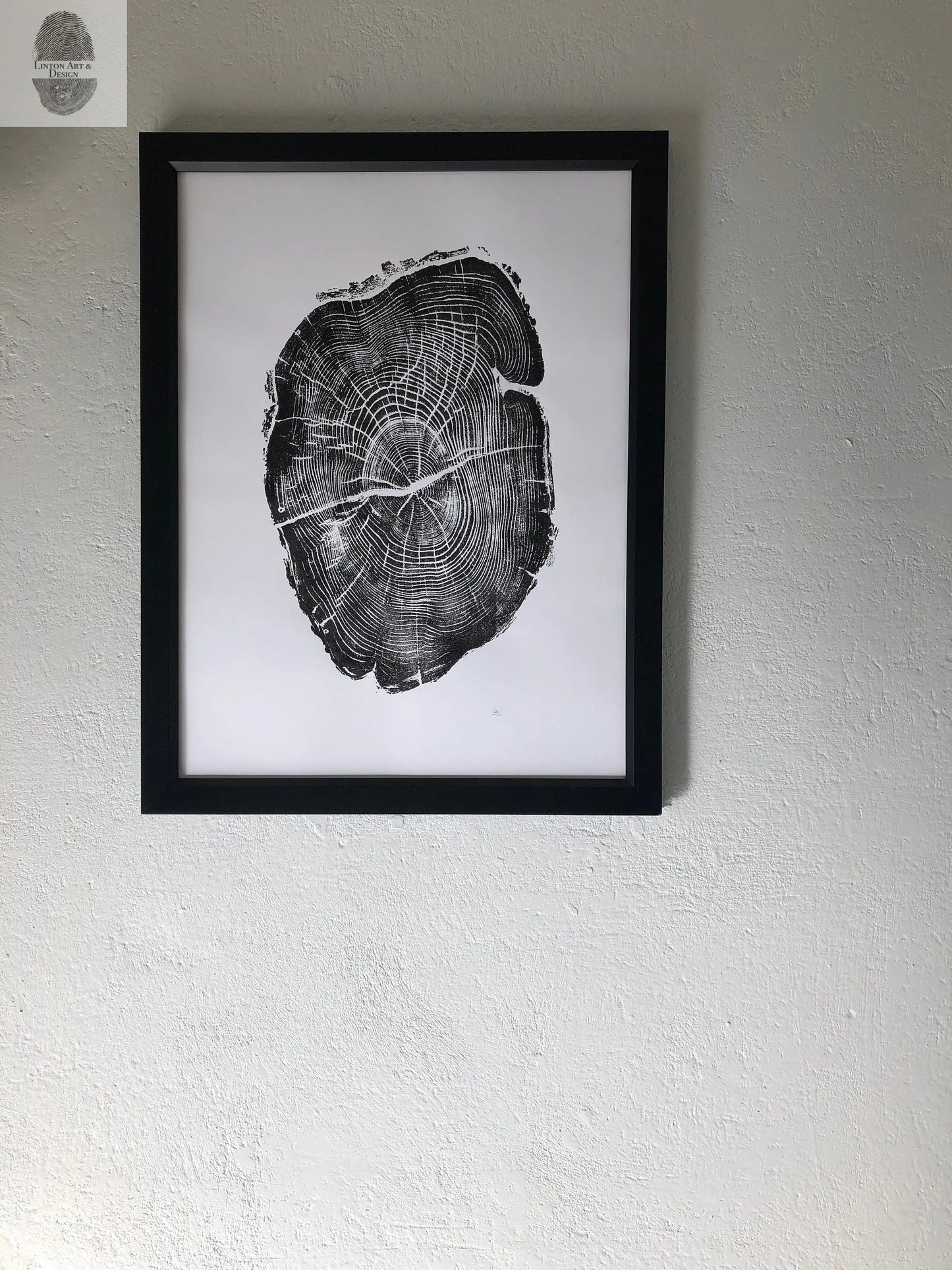 Nauvoo, Illinois Osage Orange - 18x24 print lintonart