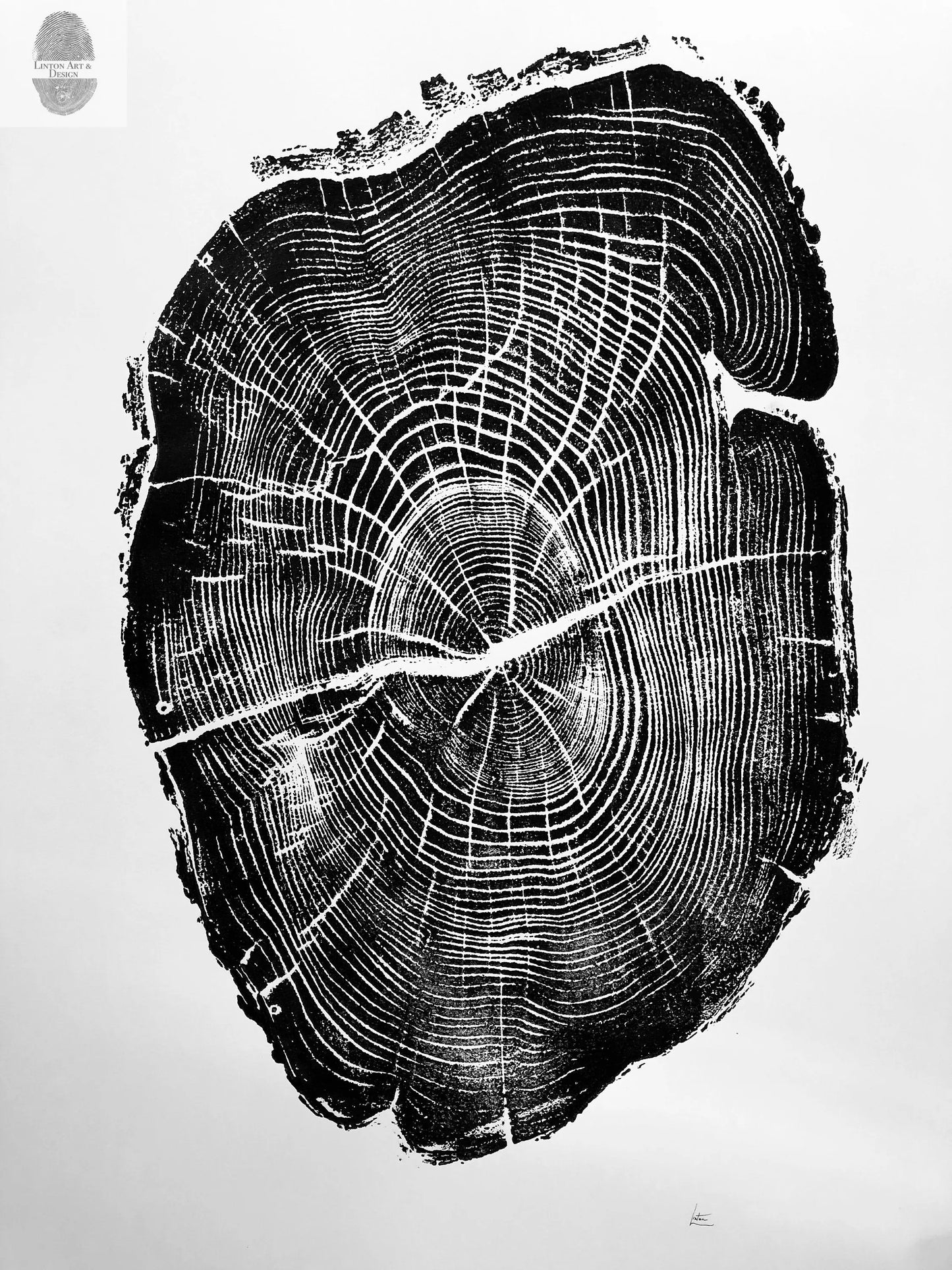 Nauvoo, Illinois Osage Orange - 18x24 print lintonart