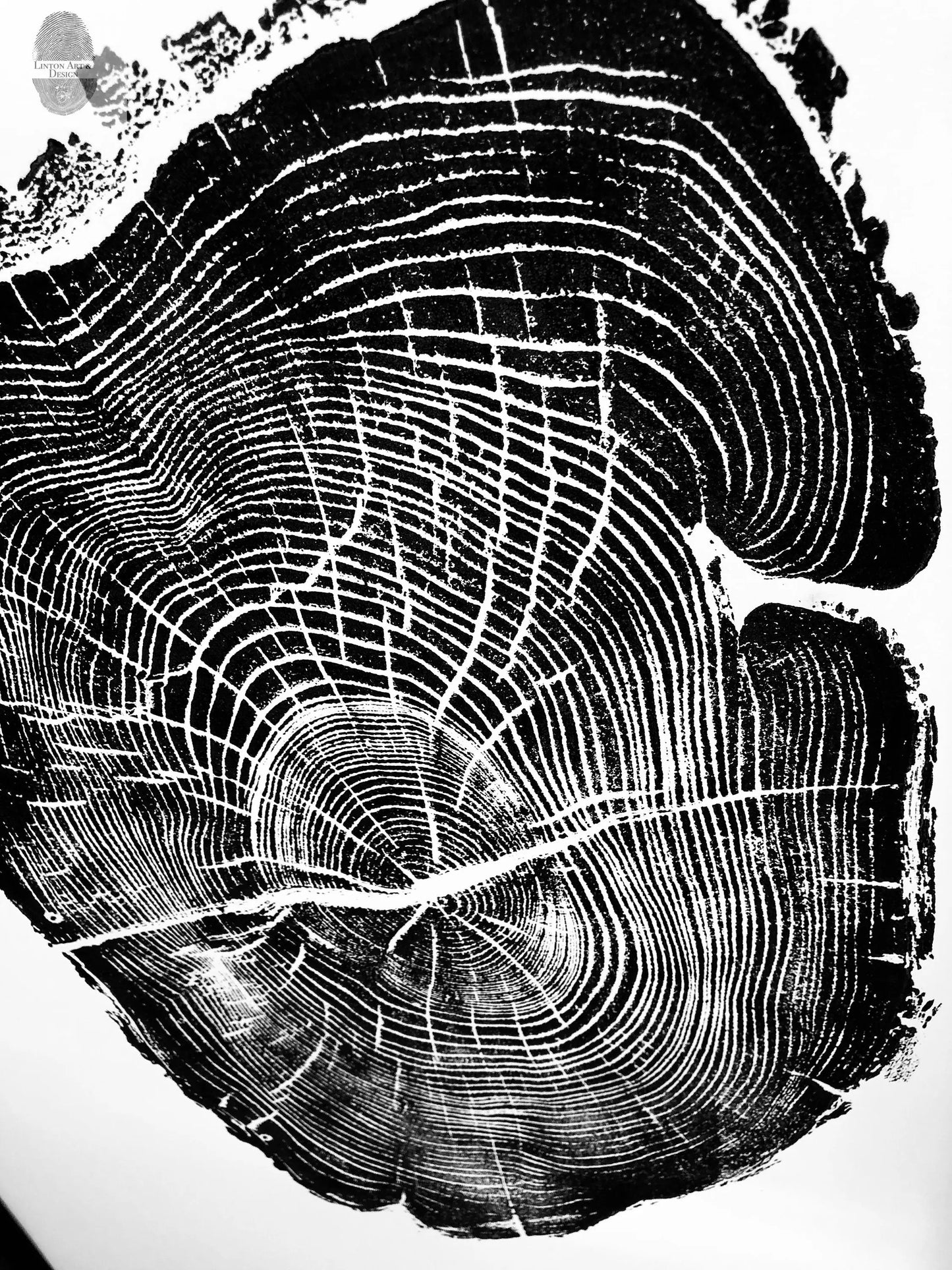 Nauvoo, Illinois Osage Orange - 18x24 print lintonart