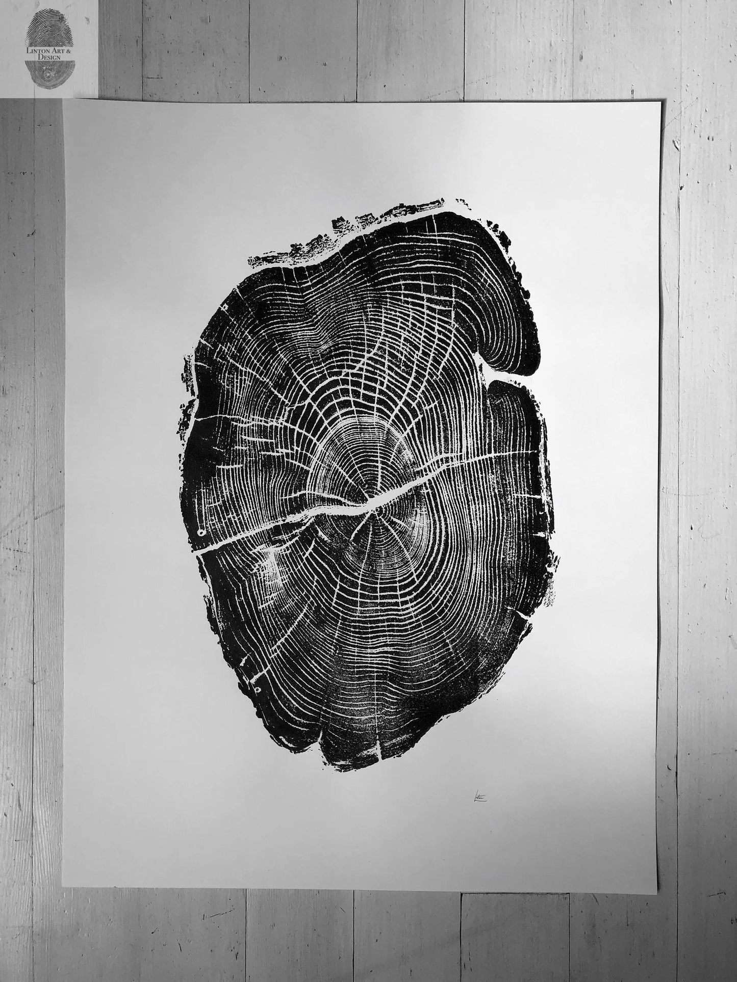 Nauvoo, Illinois Osage Orange - 18x24 print lintonart