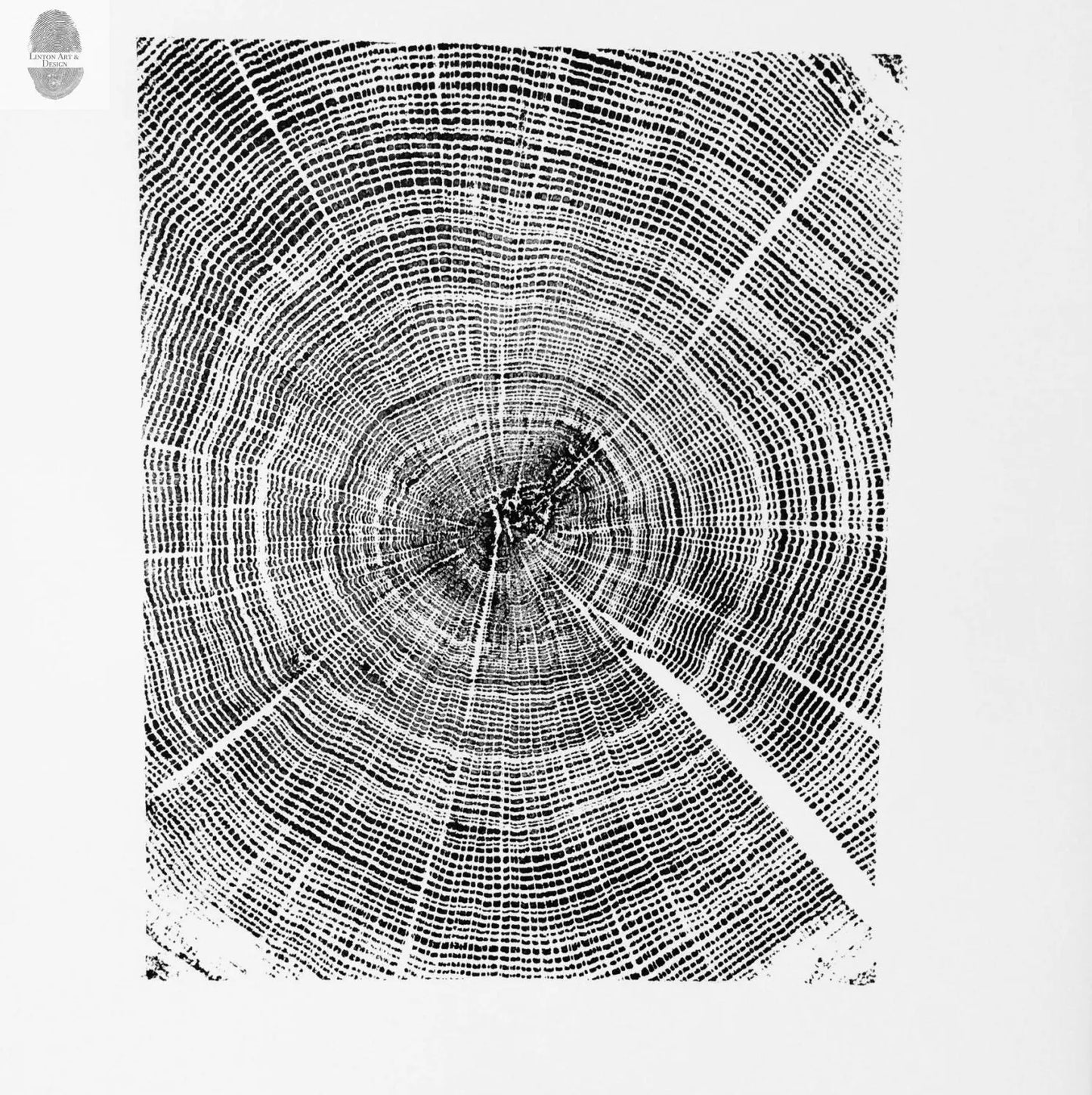 Oak - 18x24 print lintonart