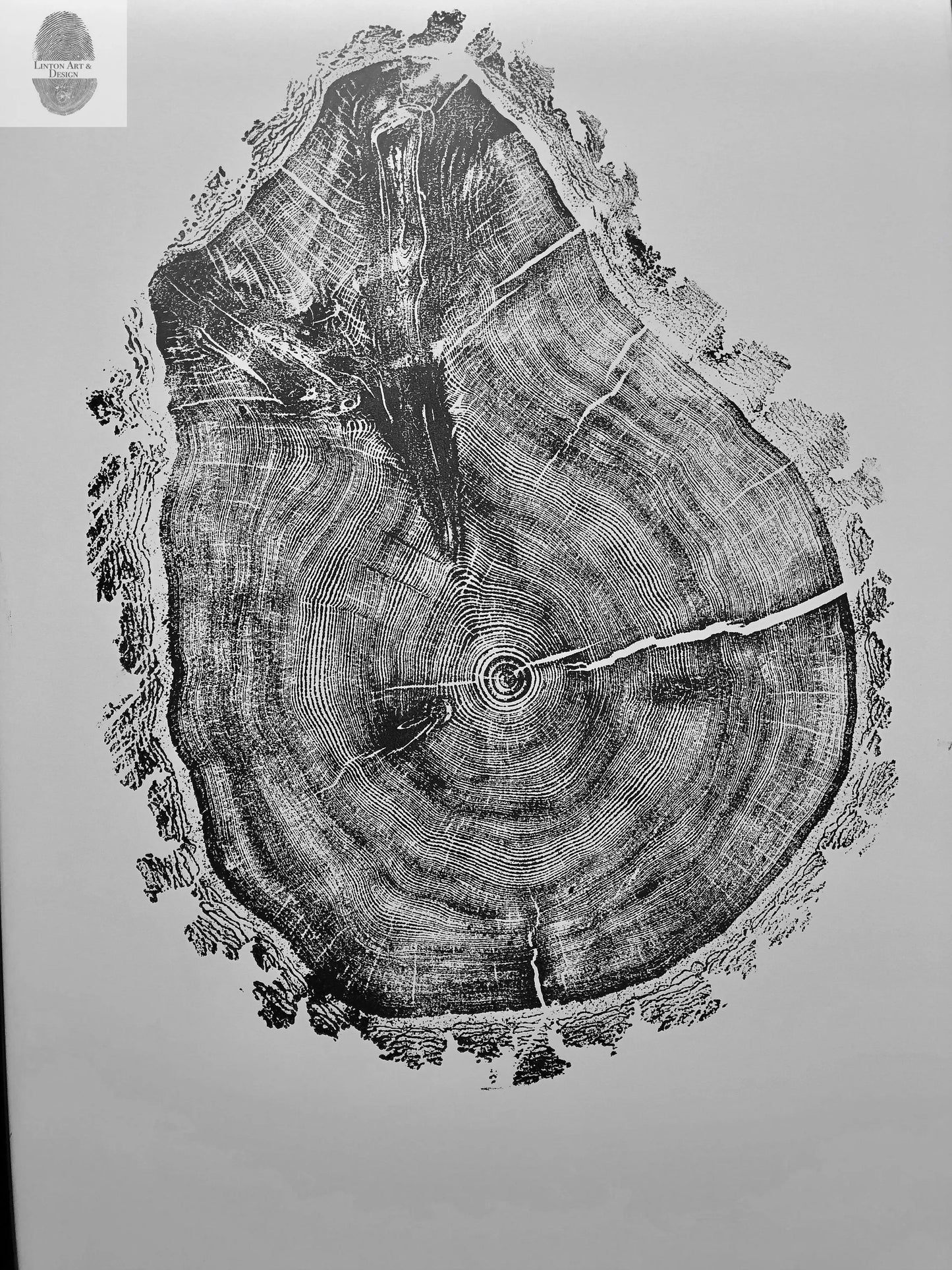 Oak, Pine, & Hemlock Set of 4 - 24x36 each print lintonart