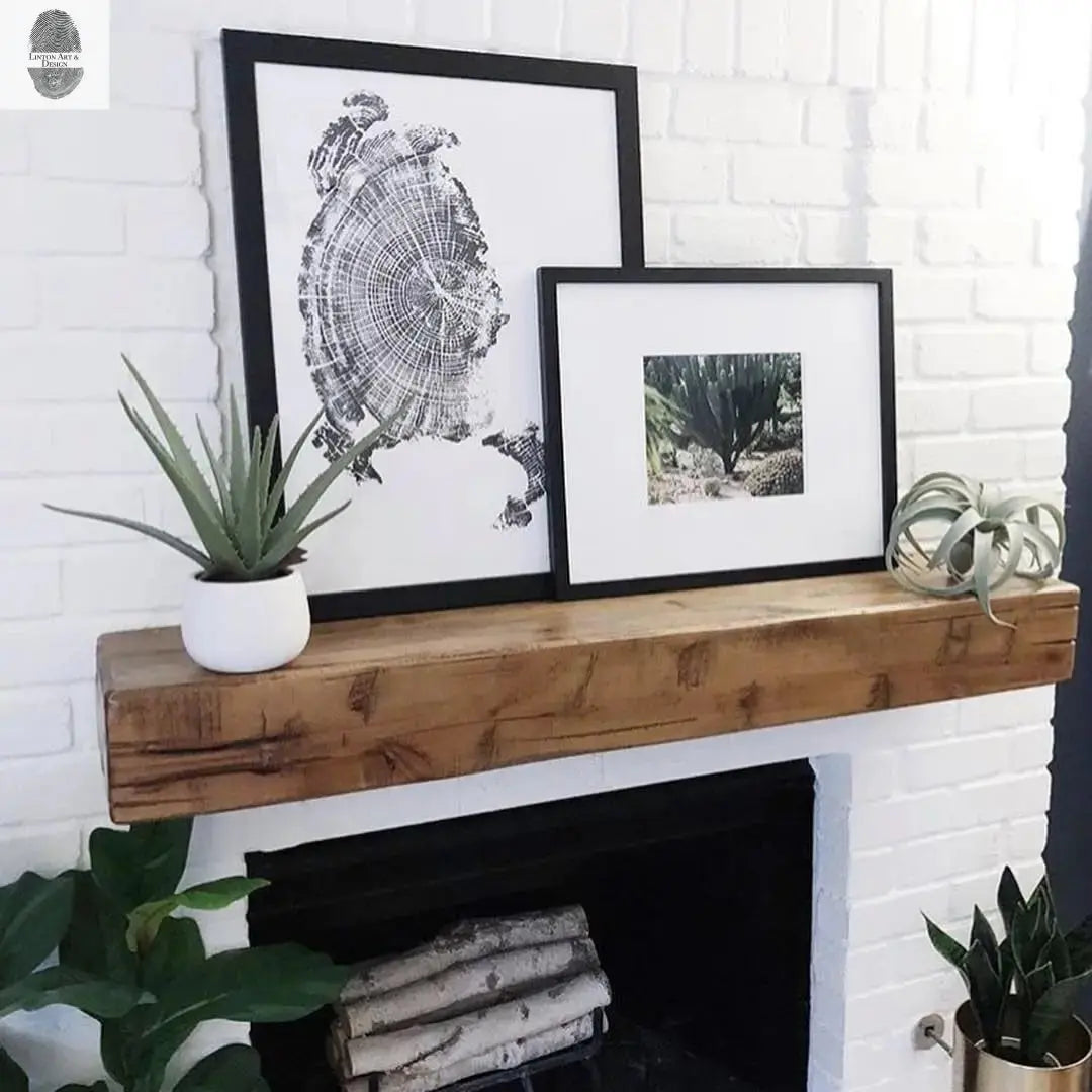 Oregon Coast, Cannon Beach, Driftwood Wall Art, Tree Ring Print, Cascade Mountains, Woodcut Art lintonart