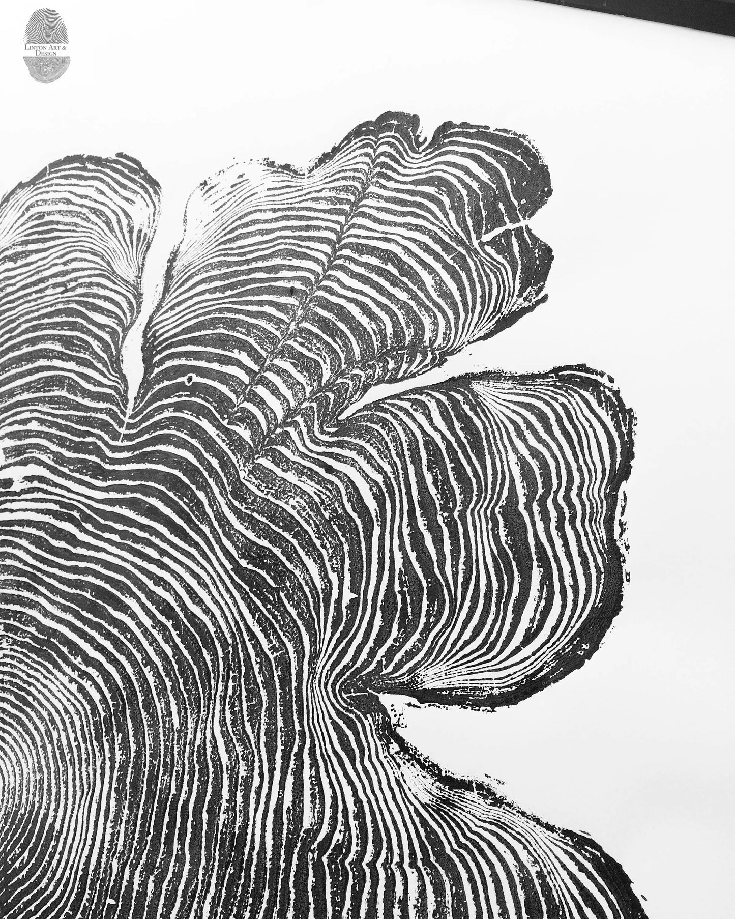 Oregon Western Red Cedar - 36x48 print lintonart
