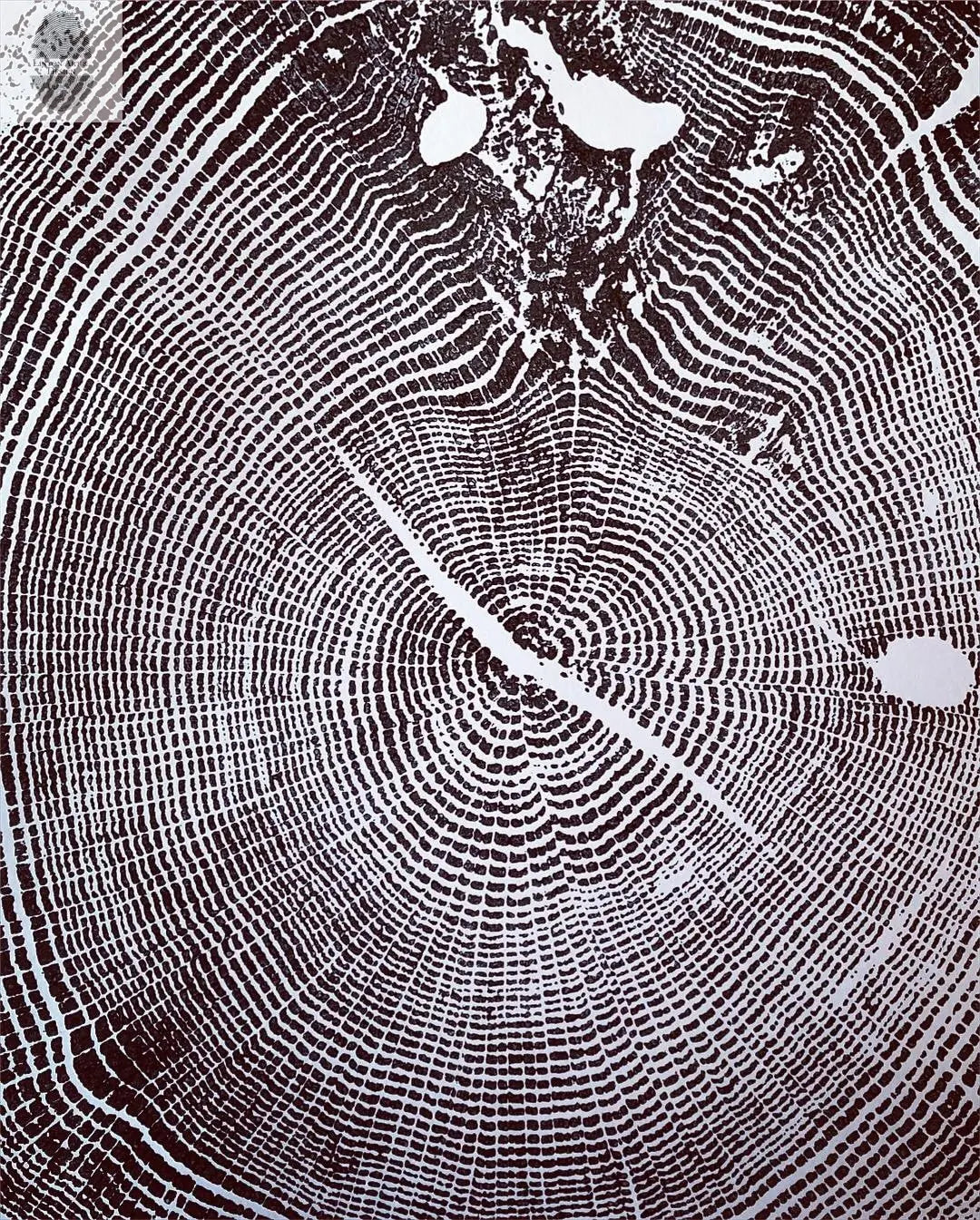 Ozark Mountains, Missouri Oak - 18x24 print lintonart