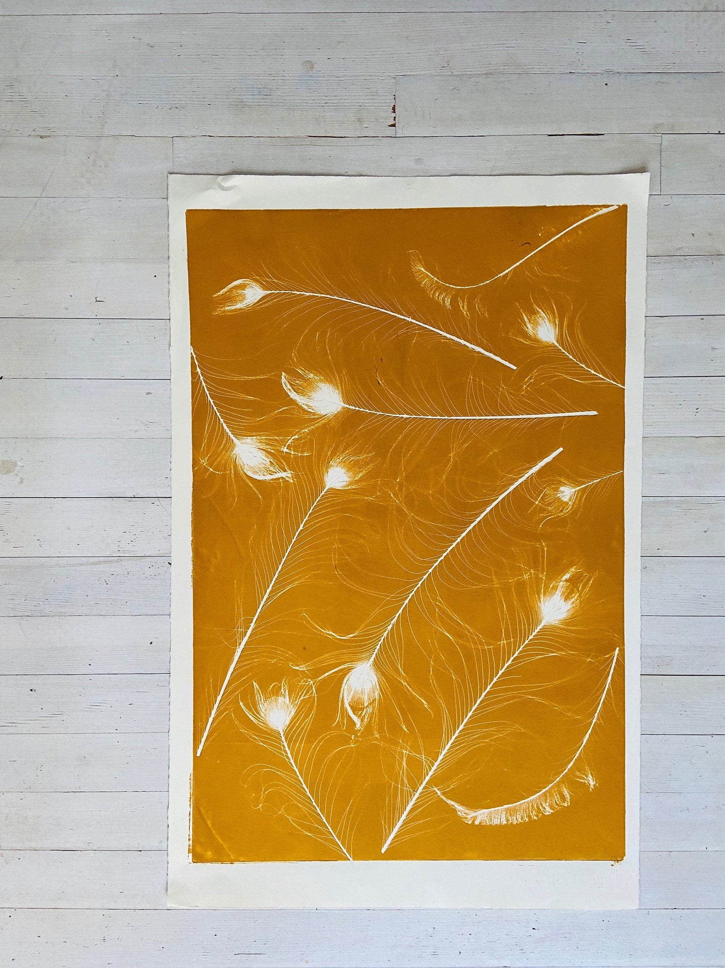 Peacock Feather Collage Monoprint in Yellow Gold - giclee print