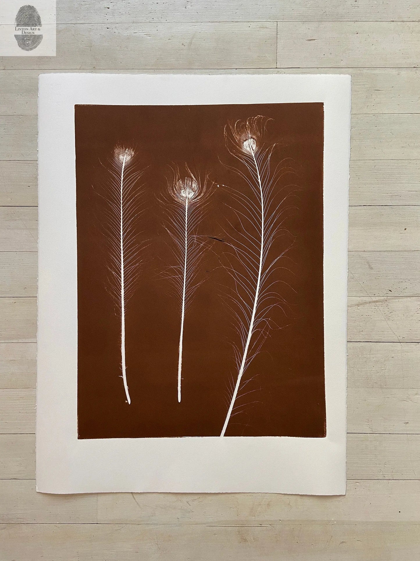 Peacock Feather Monoprint in Bronze - giclee print lintonart