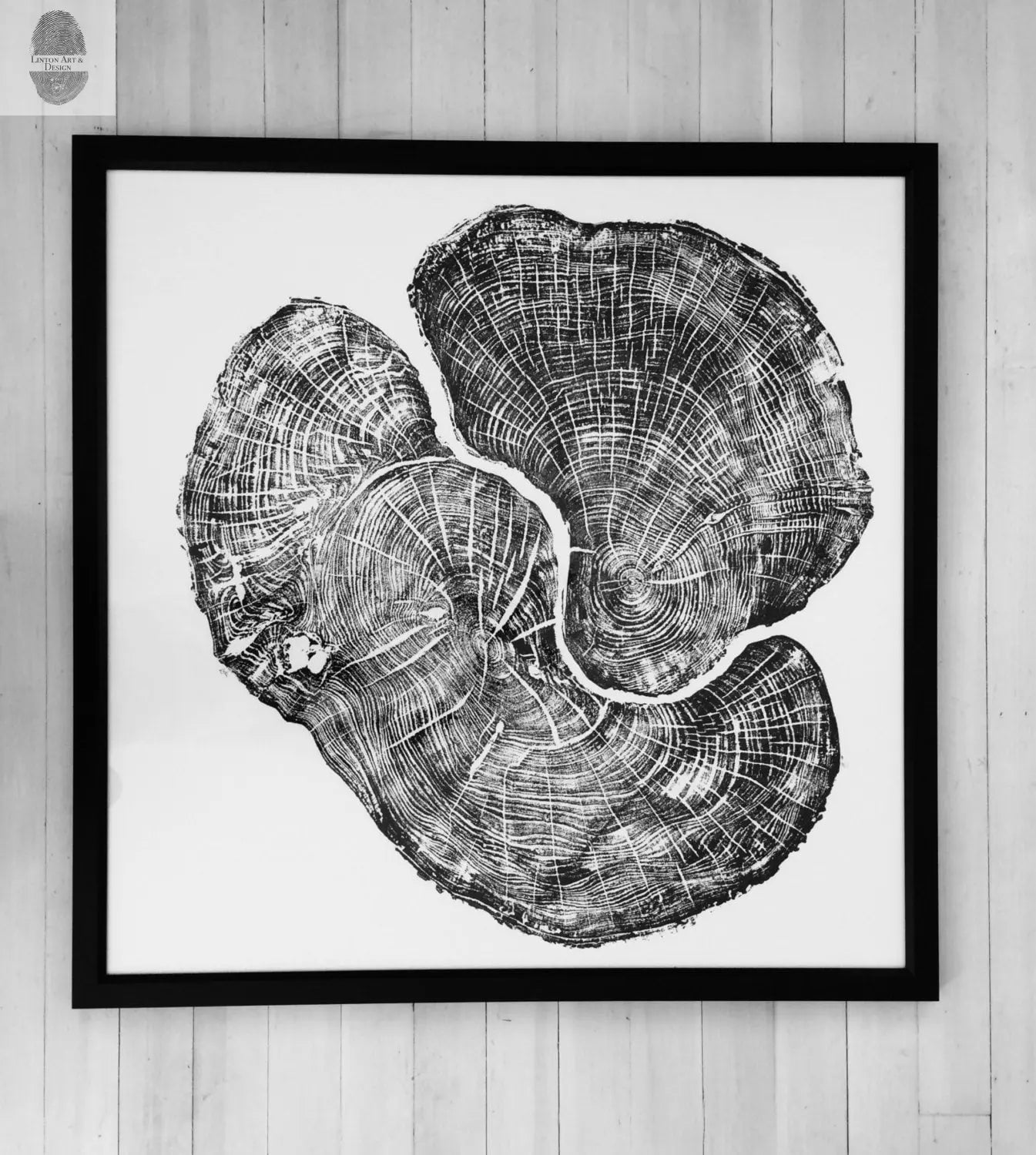 Pennsylvania Sugar Maple - 36x36 print lintonart