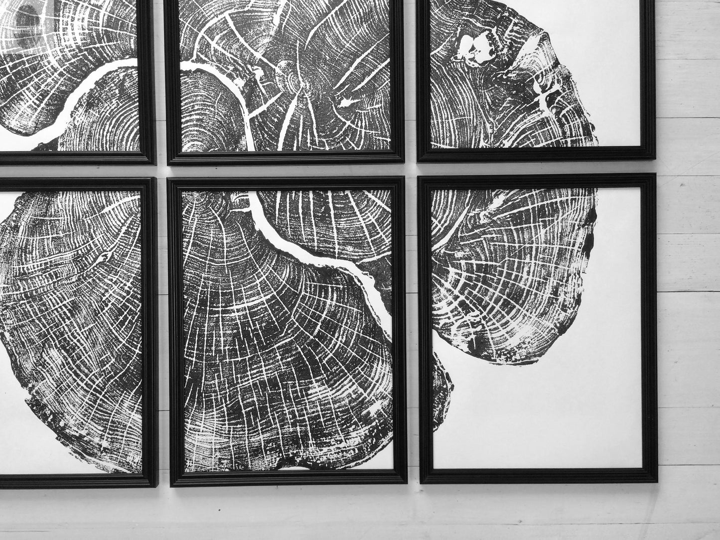 Pennsylvania Sugar Maple Set of 6 - 12x16 each print lintonart