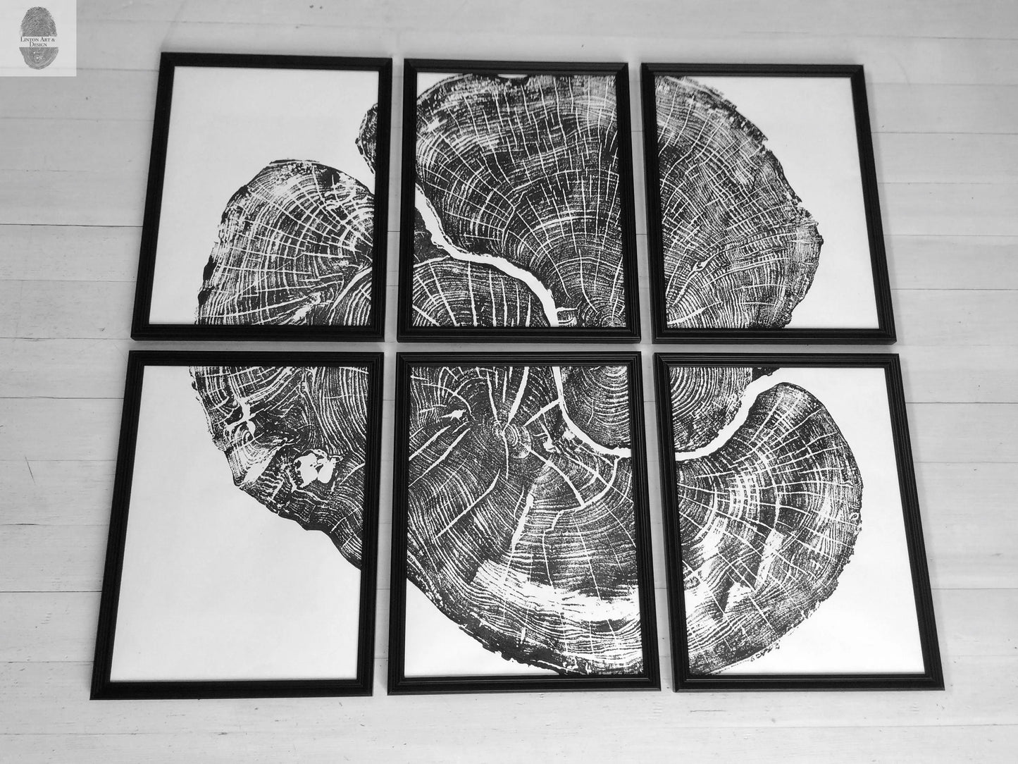 Pennsylvania Sugar Maple Set of 6 - 12x16 each print lintonart