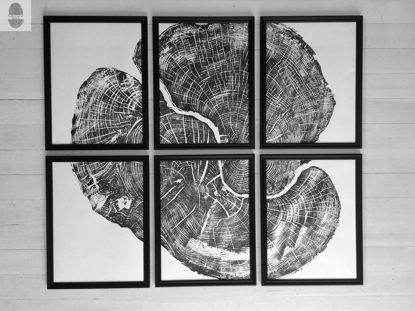 Pennsylvania Sugar Maple Set of 6 - 12x16 each print lintonart