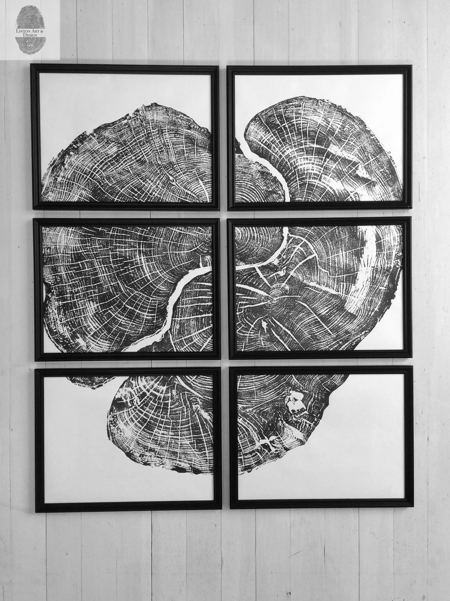Pennsylvania Sugar Maple Set of 6 - 12x16 each print lintonart