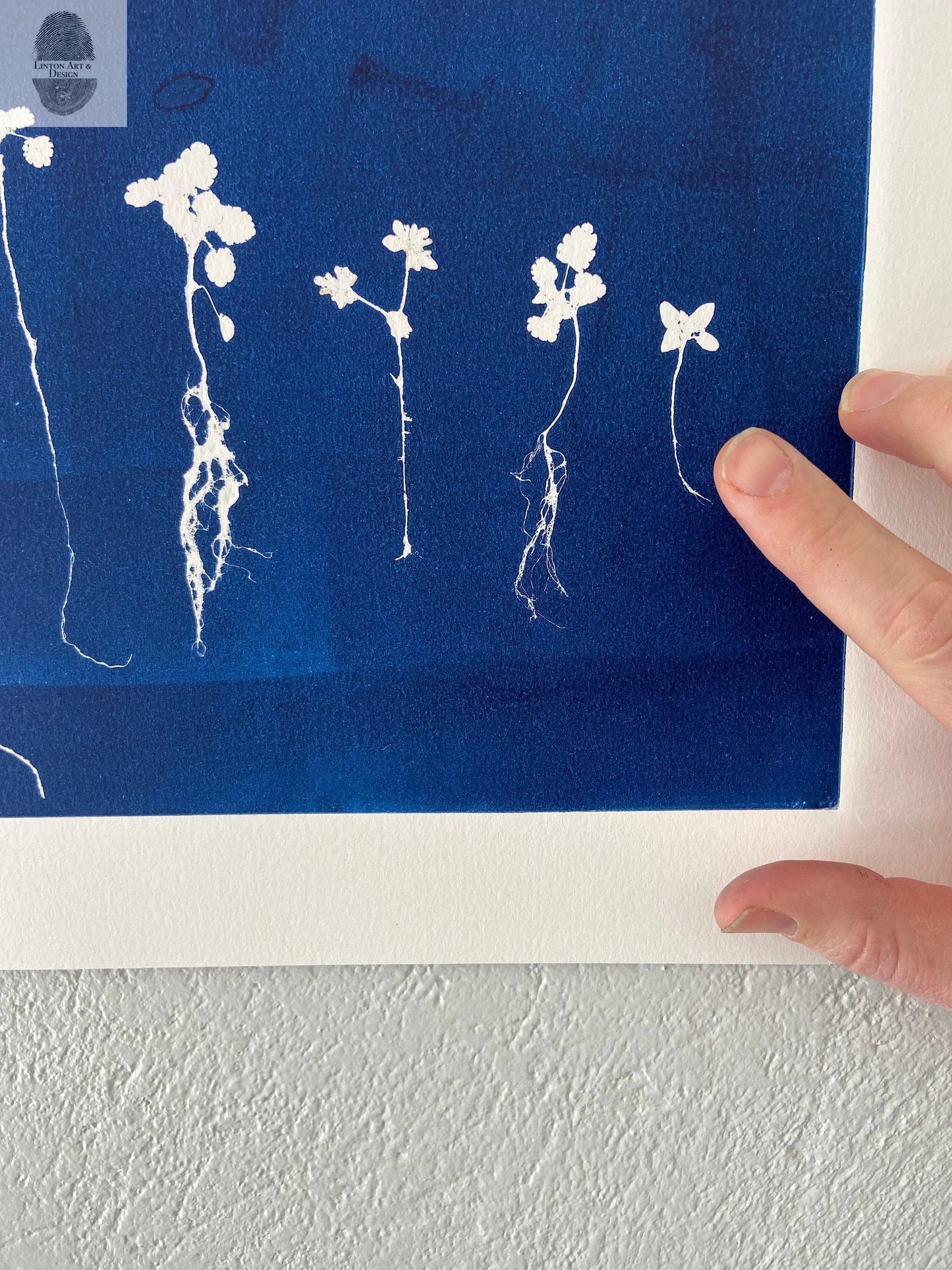Sapplings and Roots Hand Pressed Botanical Monoprint on Blue - 11x14 giclee print lintonart
