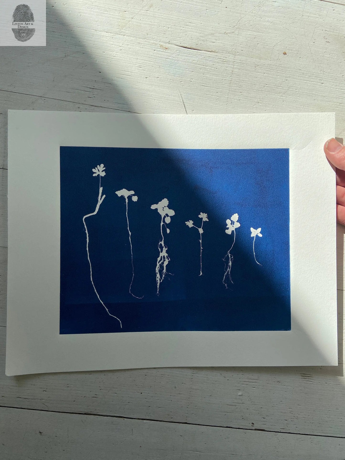 Sapplings and Roots Hand Pressed Botanical Monoprint on Blue - 11x14 giclee print lintonart