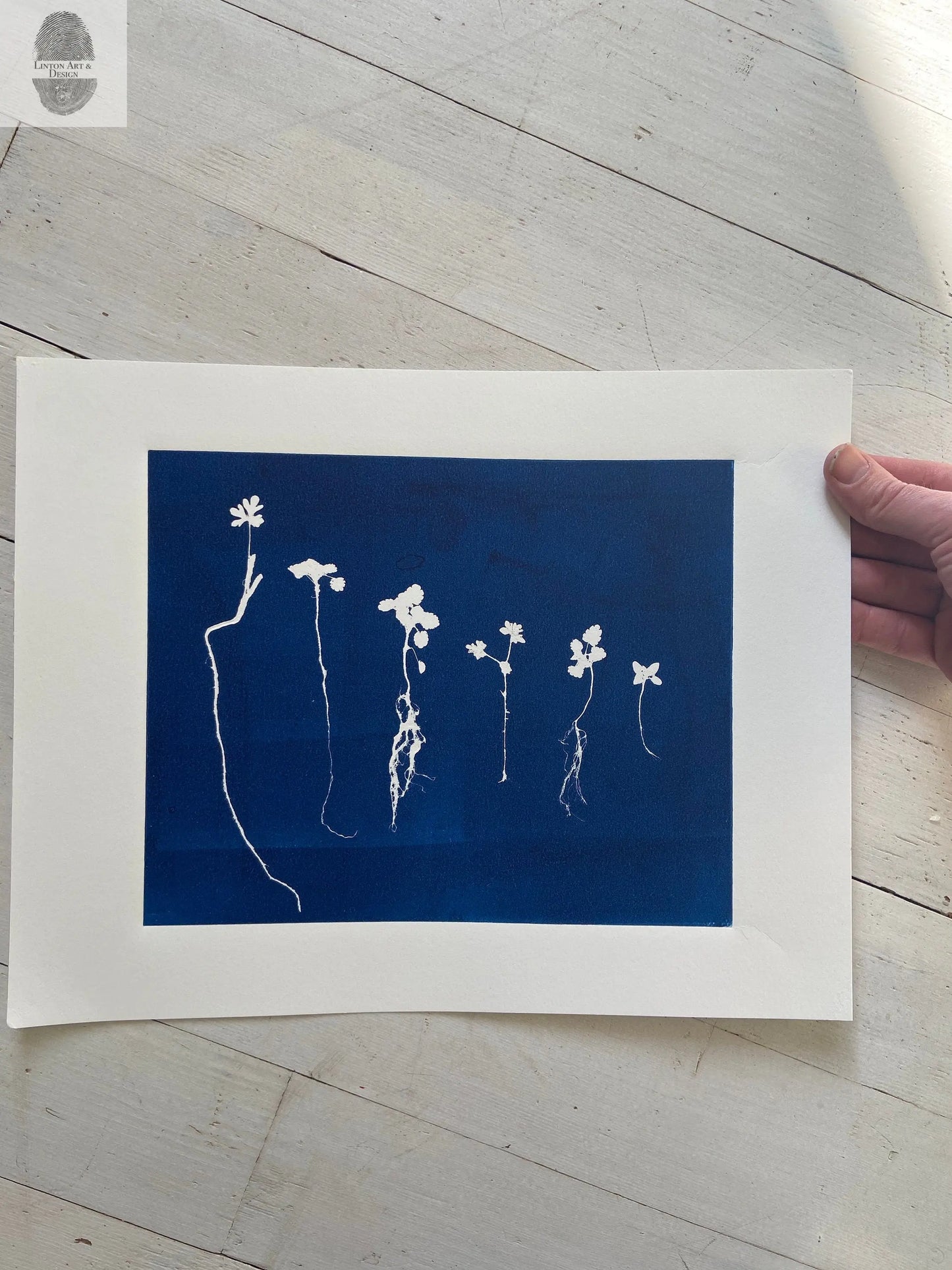 Sapplings and Roots Hand Pressed Botanical Monoprint on Blue - 11x14 giclee print lintonart