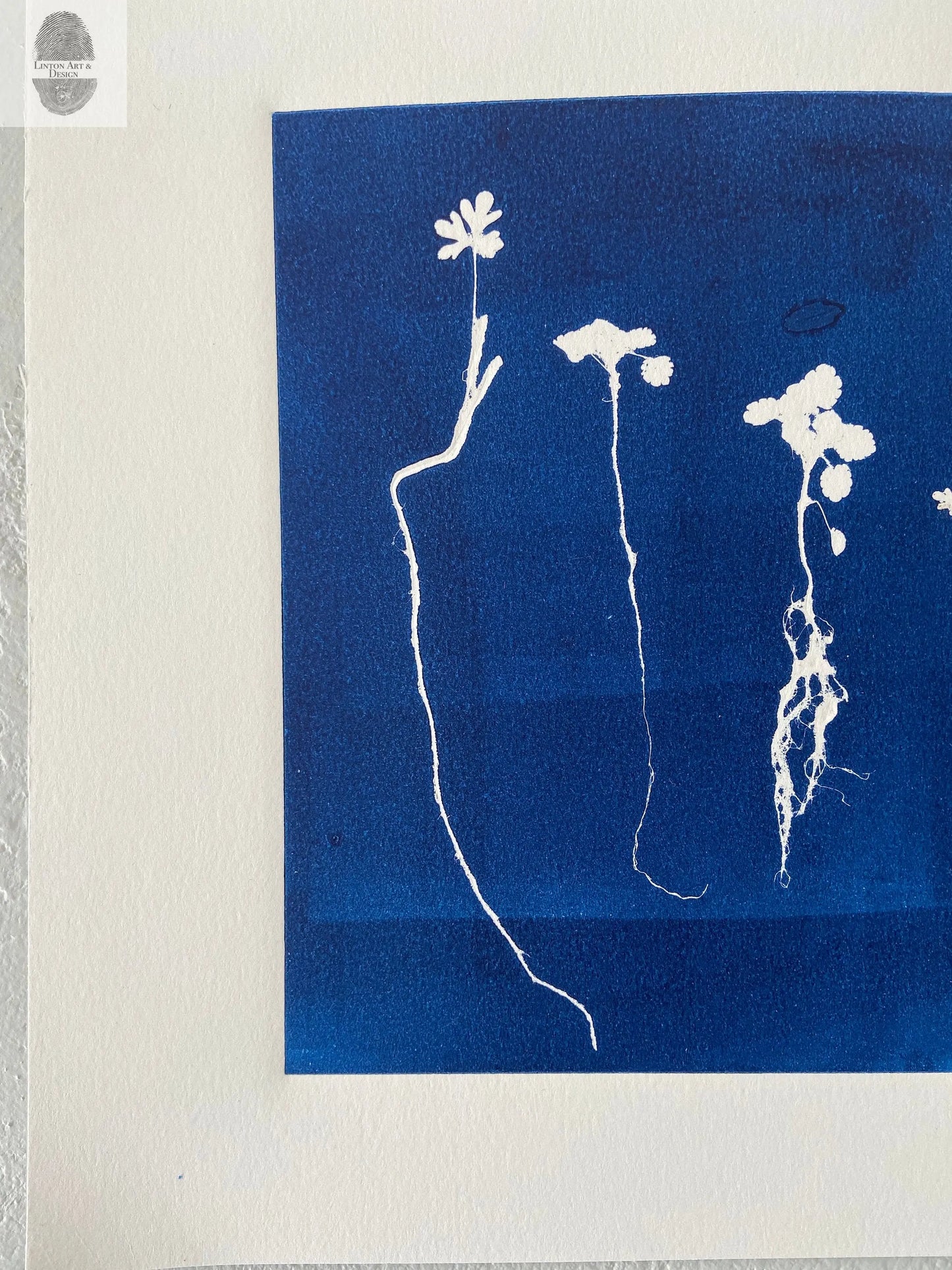 Sapplings and Roots Hand Pressed Botanical Monoprint on Blue - 11x14 giclee print lintonart