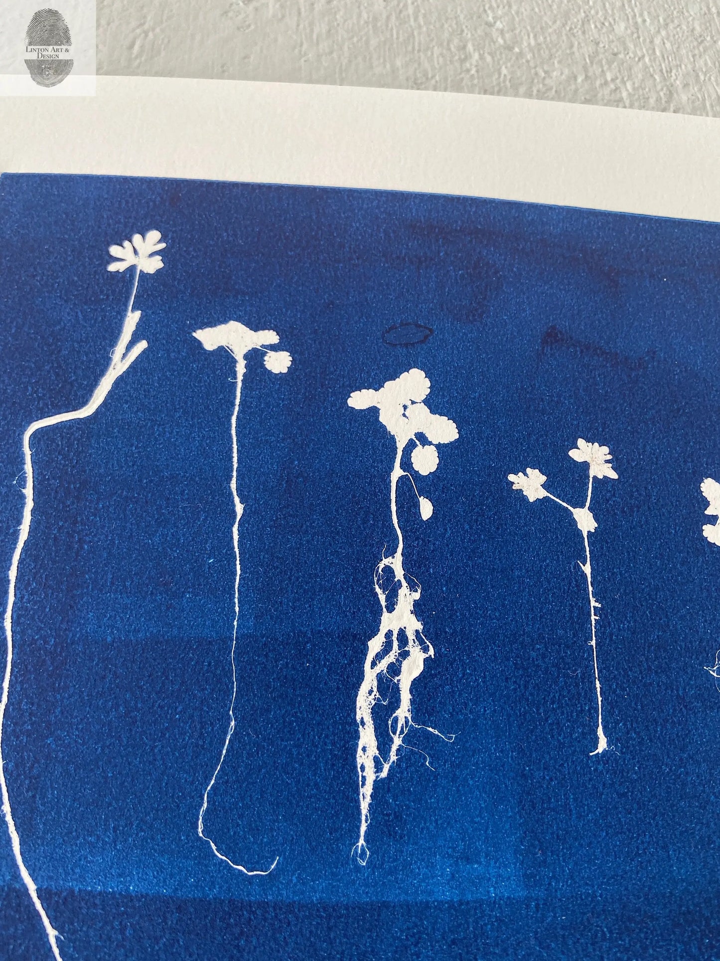 Sapplings and Roots Hand Pressed Botanical Monoprint on Blue - 11x14 giclee print lintonart