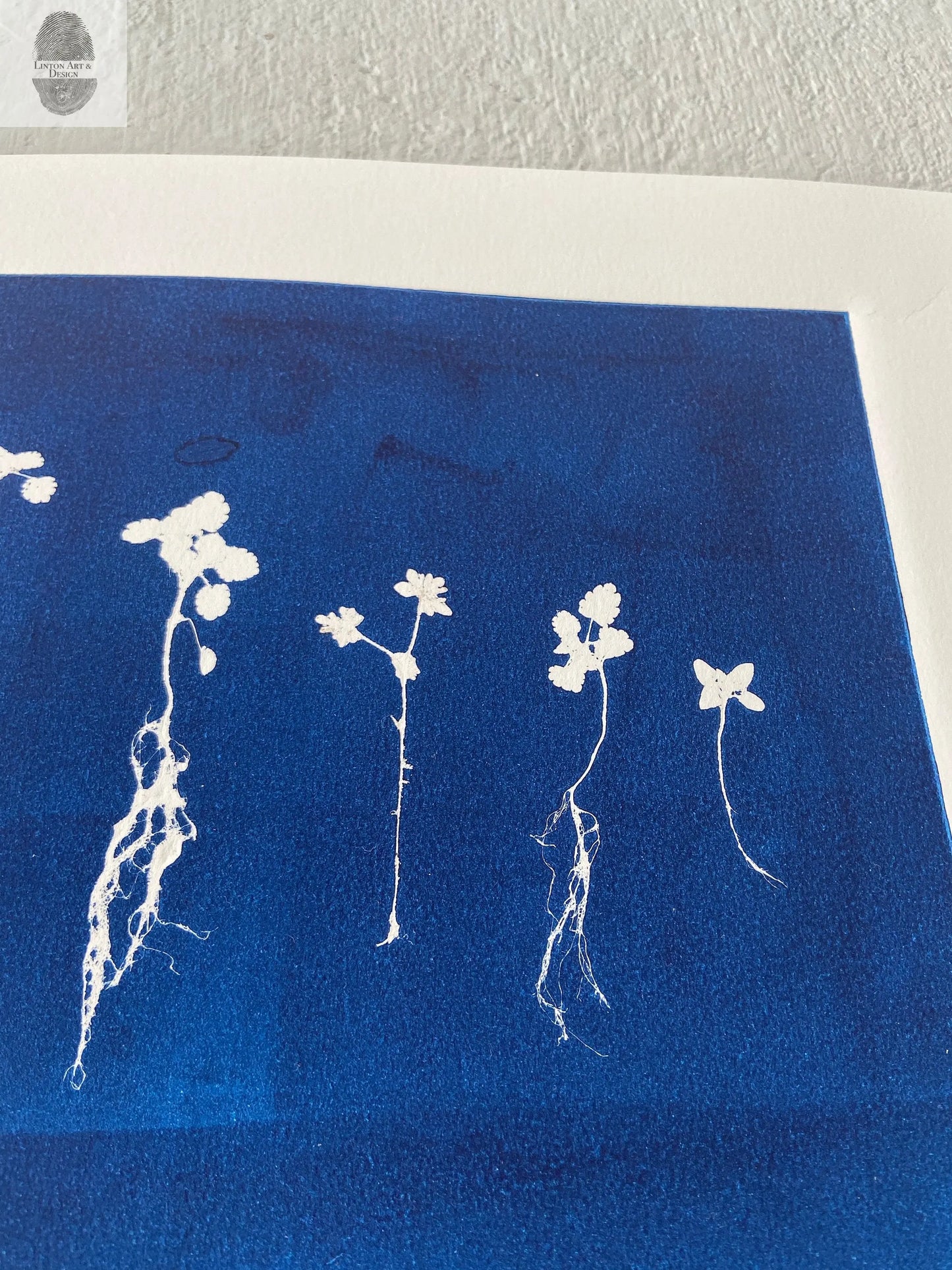 Sapplings and Roots Hand Pressed Botanical Monoprint on Blue - 11x14 giclee print lintonart