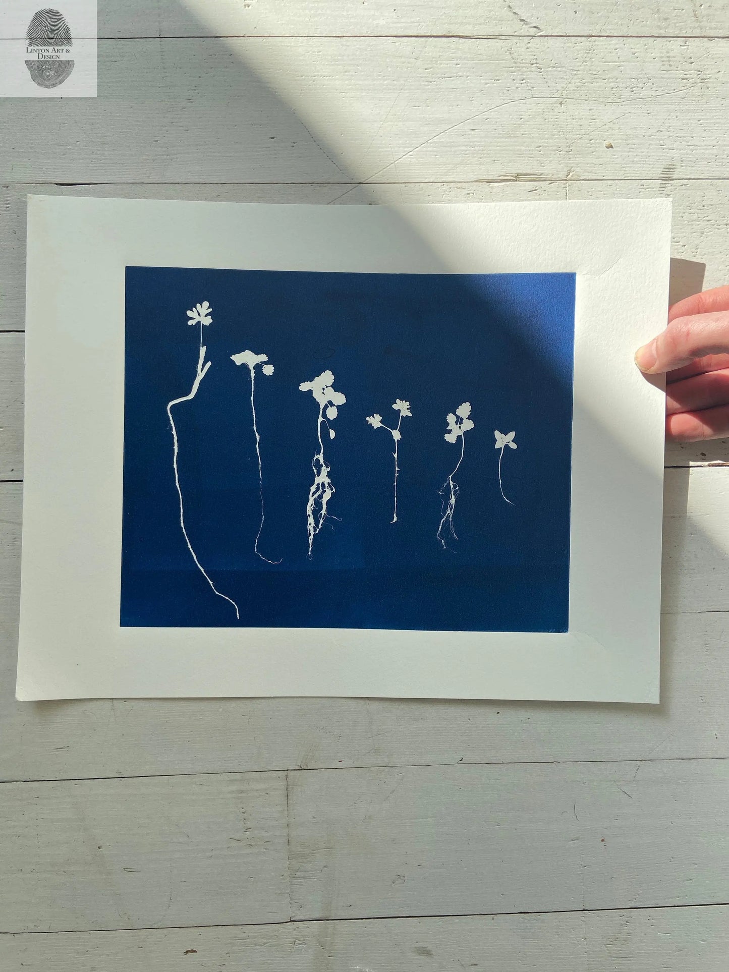 Sapplings and Roots Hand Pressed Botanical Monoprint on Blue - 11x14 giclee print lintonart
