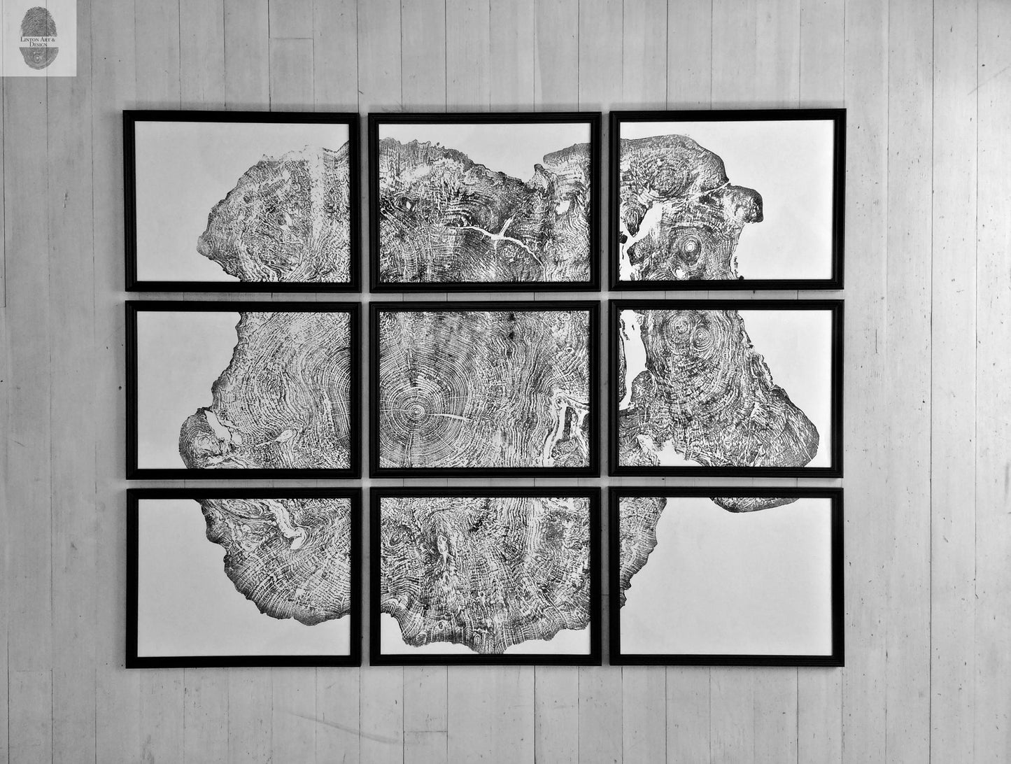 Set of 9 prints, Tree ring art, Maple Tree, Tree ring prints, Gallery wall art, Massachusetts Big Leaf Maple Tree 12x16 each prints lintonart