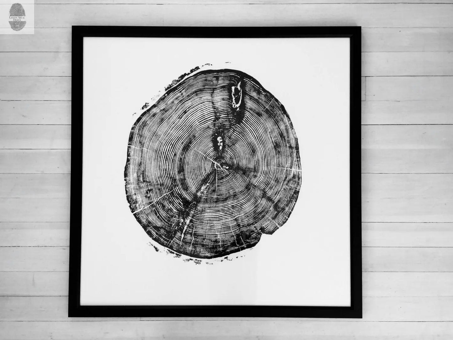 Sundance Canyon, Utah, White Pine - 36x36 print lintonart