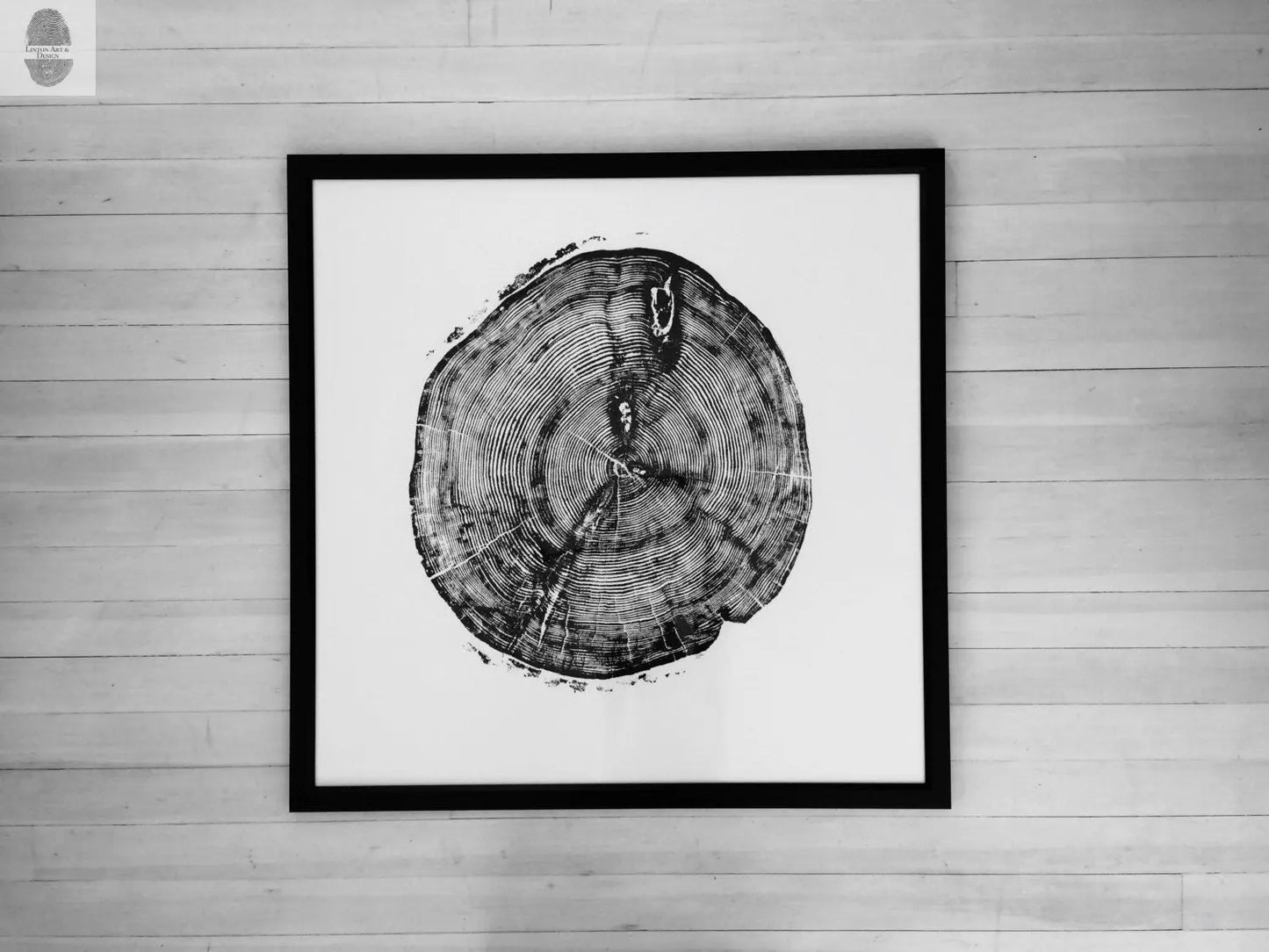 Sundance Canyon, Utah, White Pine - 36x36 print lintonart
