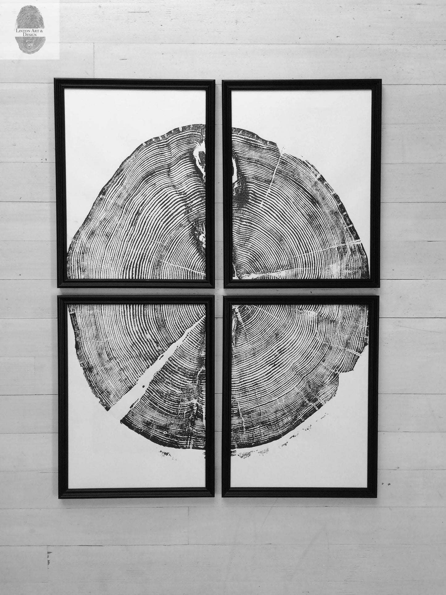 Sundance Canyon, Utah, White Pine Set of 4 - 12x16 each print lintonart