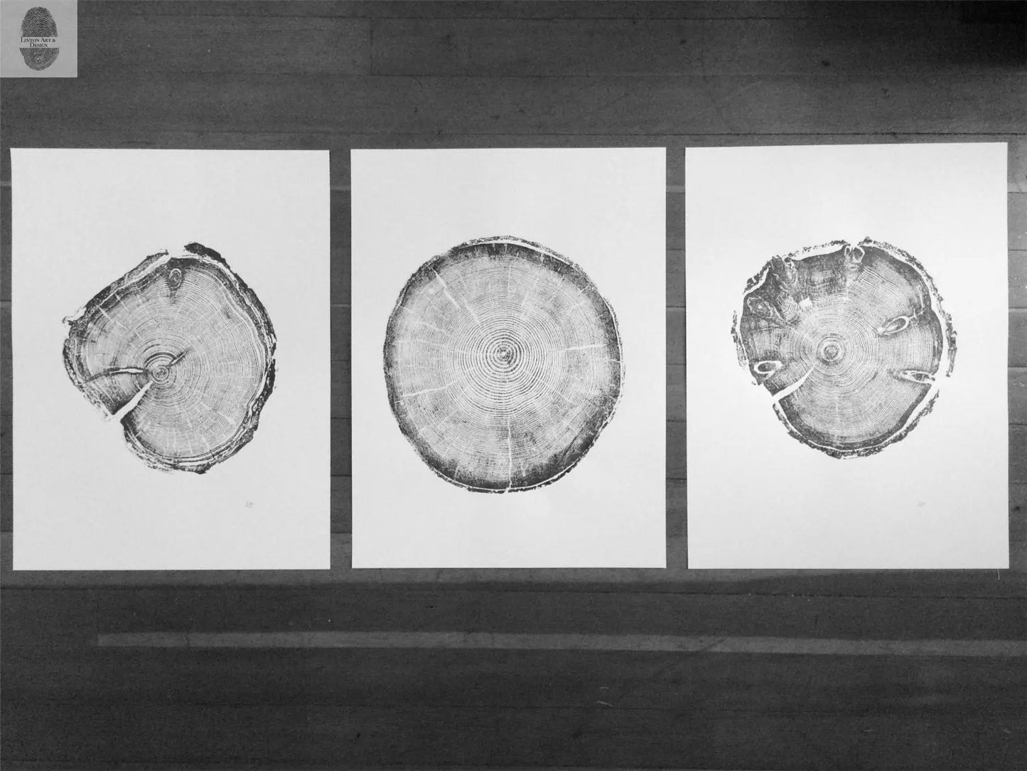 Utah Pines Triptych - 18x24 each print lintonart