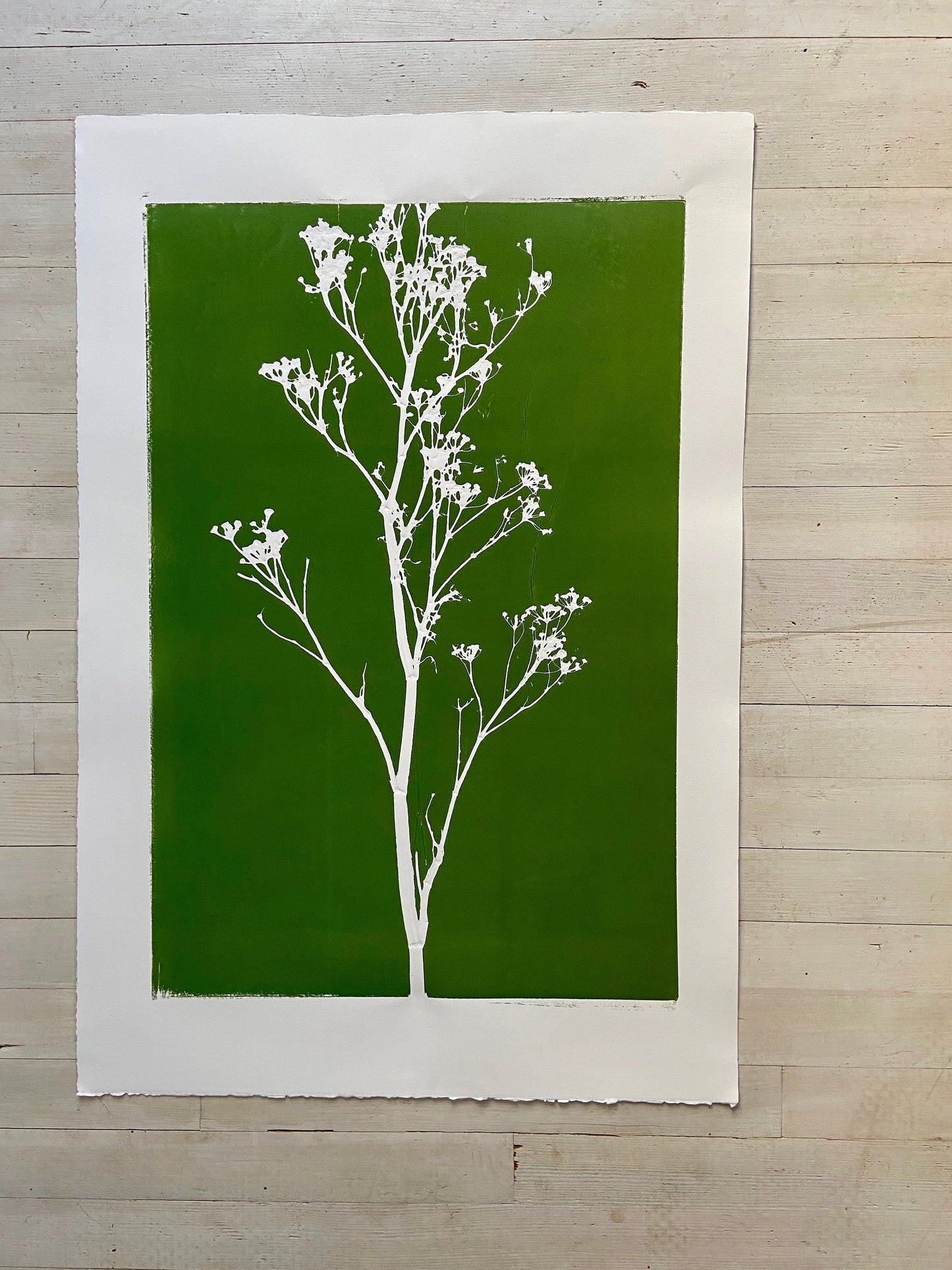 Wild Weeds Hand Pressed Monoprint on Green - giclee print