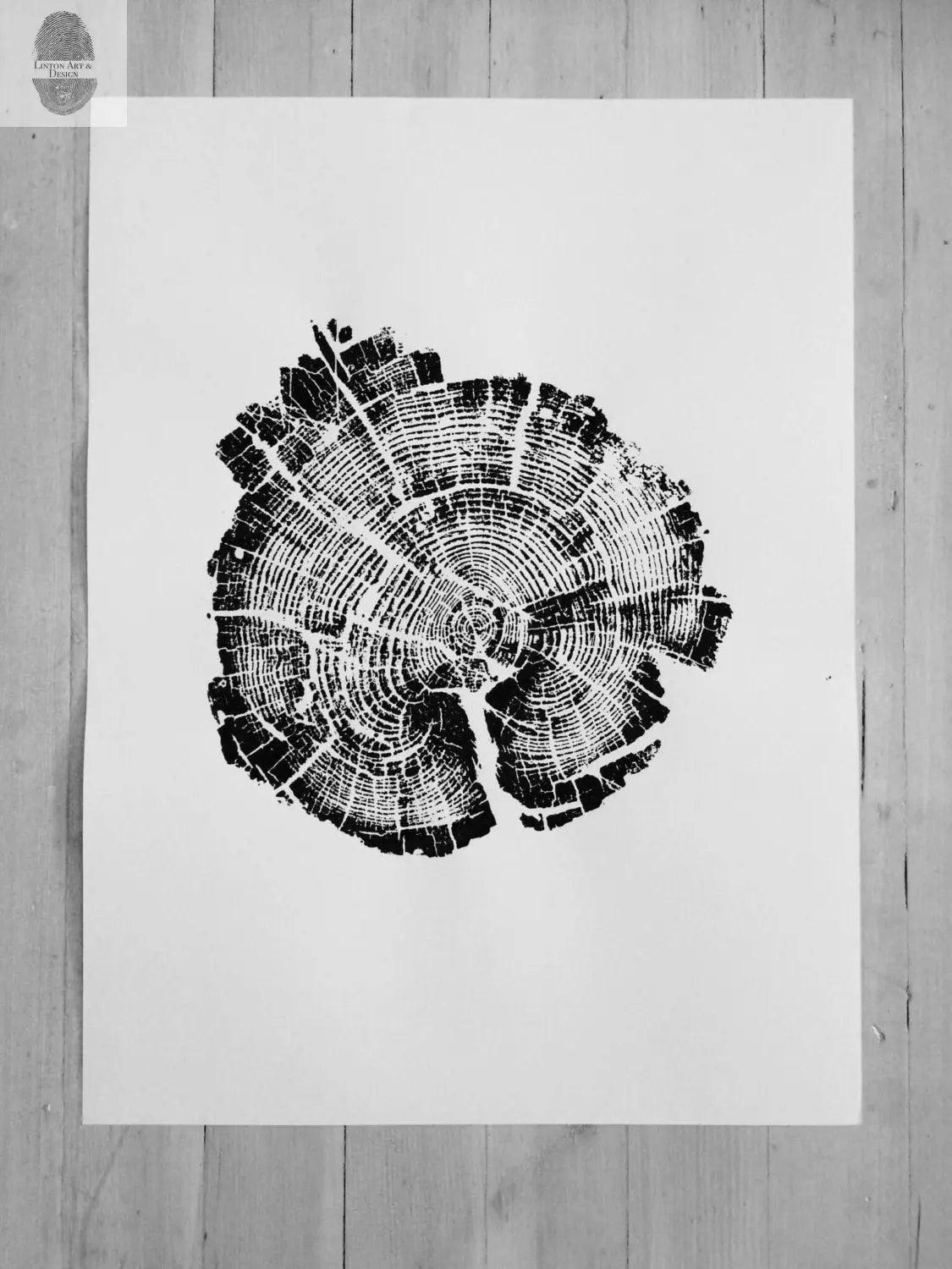 Yellowstone Pine - 18x24 print lintonart