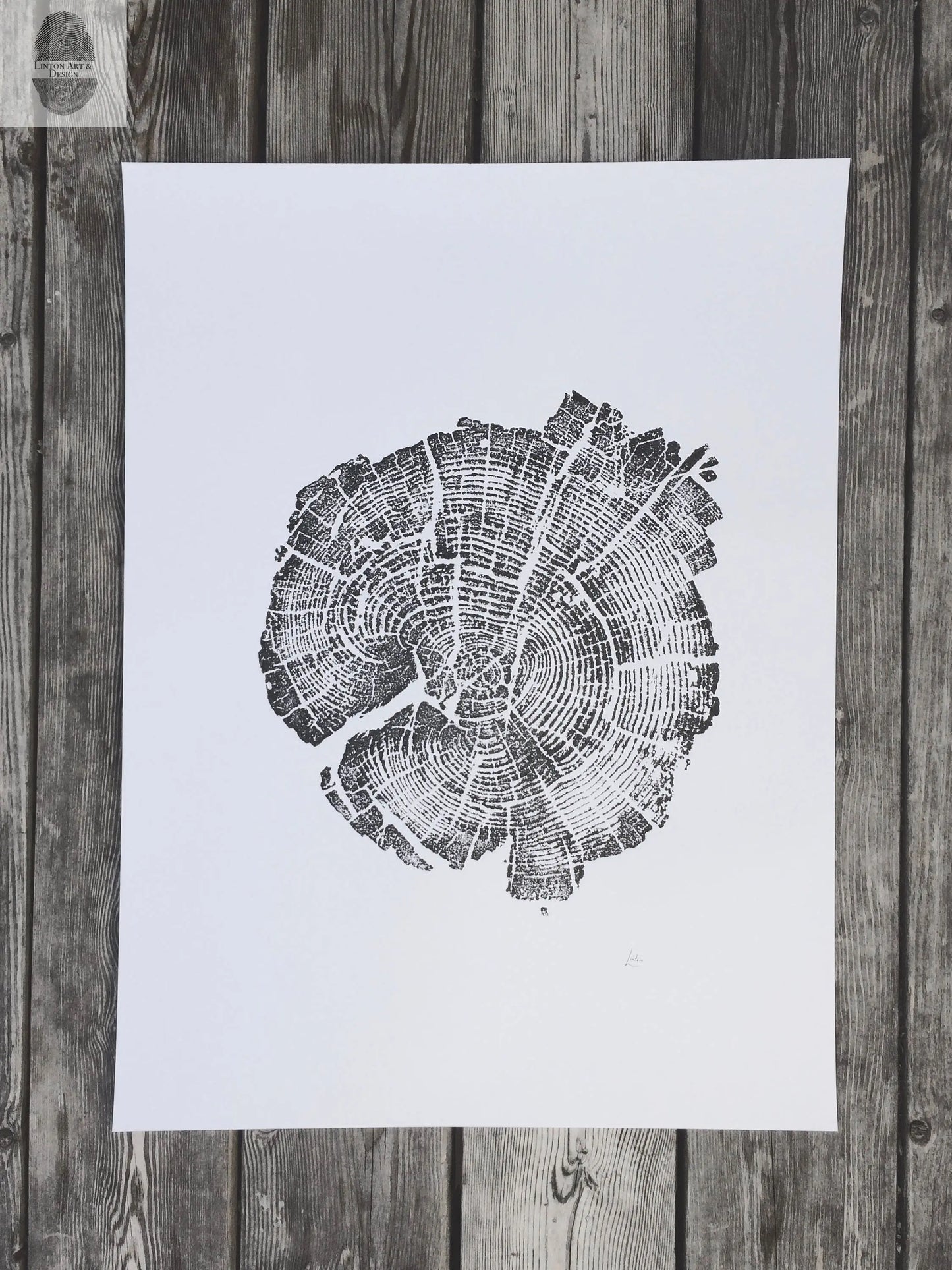 Yellowstone Pine - 18x24 print lintonart