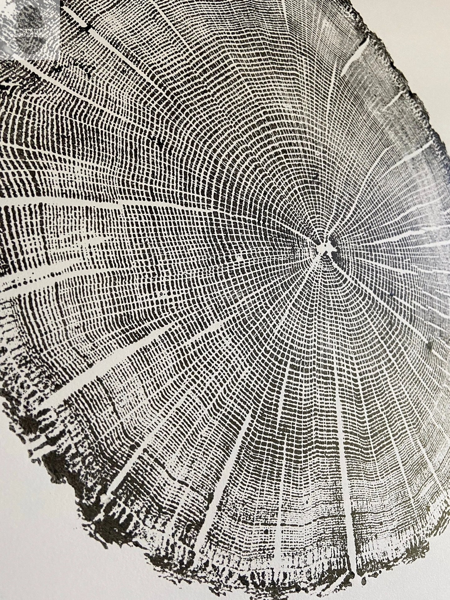 York, Maine Oak - 18x24 print lintonart