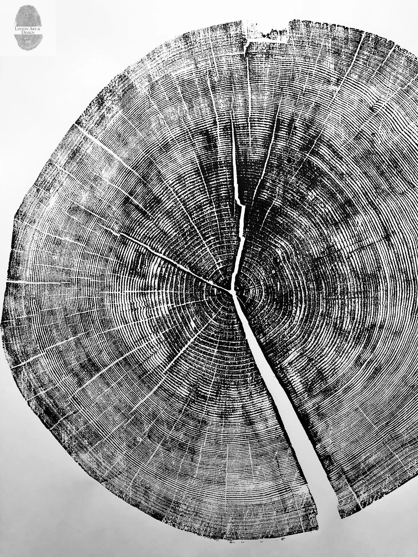 Yosemite National Park, California Pine - 36x36 print lintonart