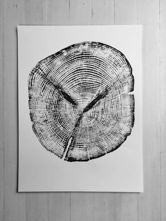 Alaska Cedar, Alaska Art, Denali, Shabby Tree, Tree Ring Print, Forager