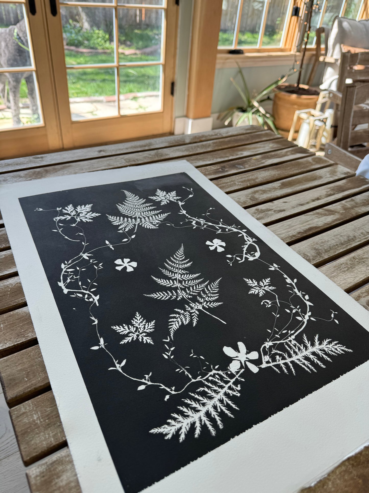 Black and White Botanical Arrangement, made from real plants. Printed on museum quality paper.