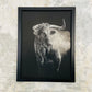 Etching of a Bull, 18x24 inch giclee print, by Erik Linton