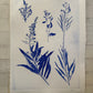 Specimen Group: Flora of Mountain Meadows, 18x24 original Monoprint