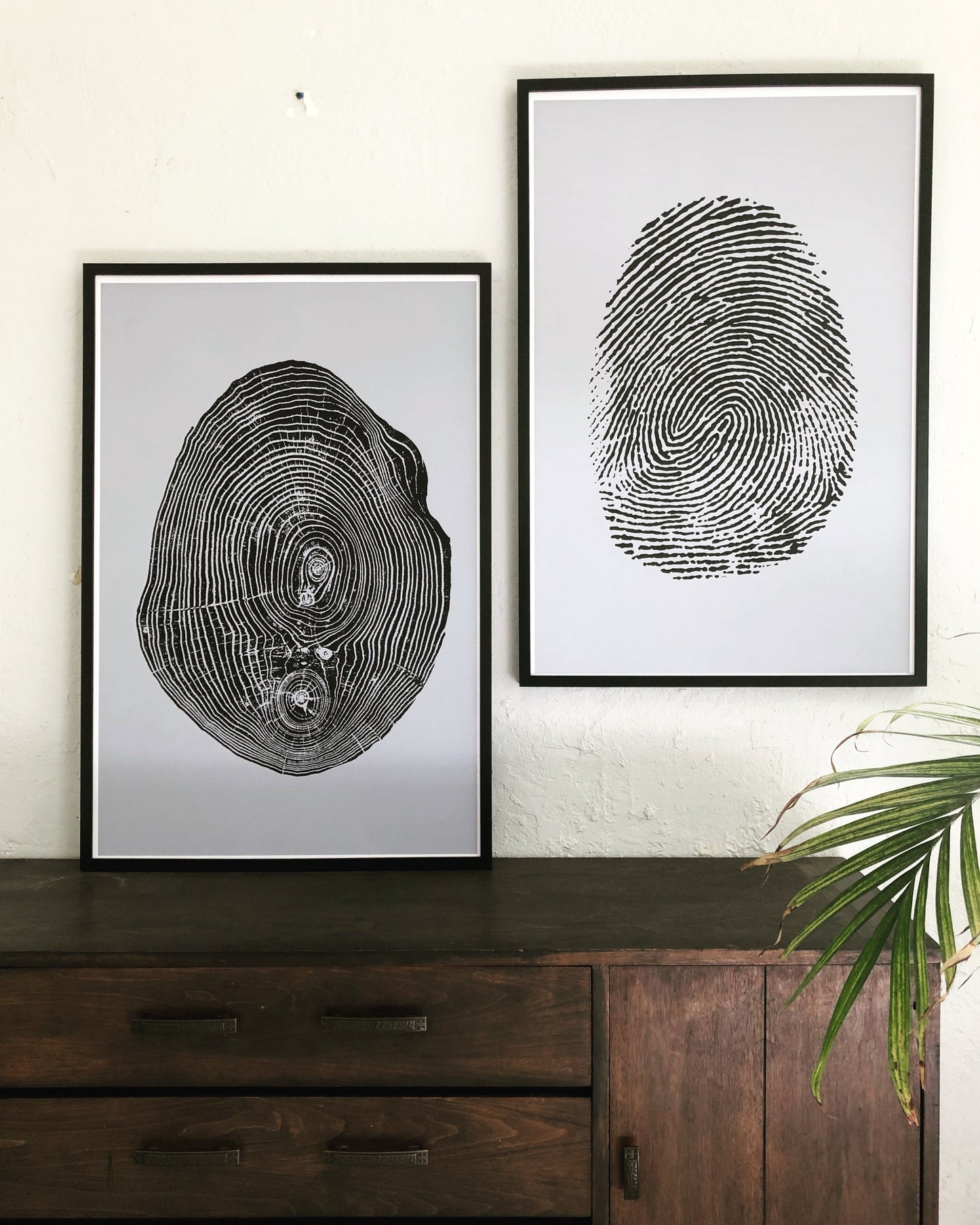 Customized fingerprint tree ring art, fingerprint art, tree ring print, human nature, nature lover gift, memorial gifts, honor gifts