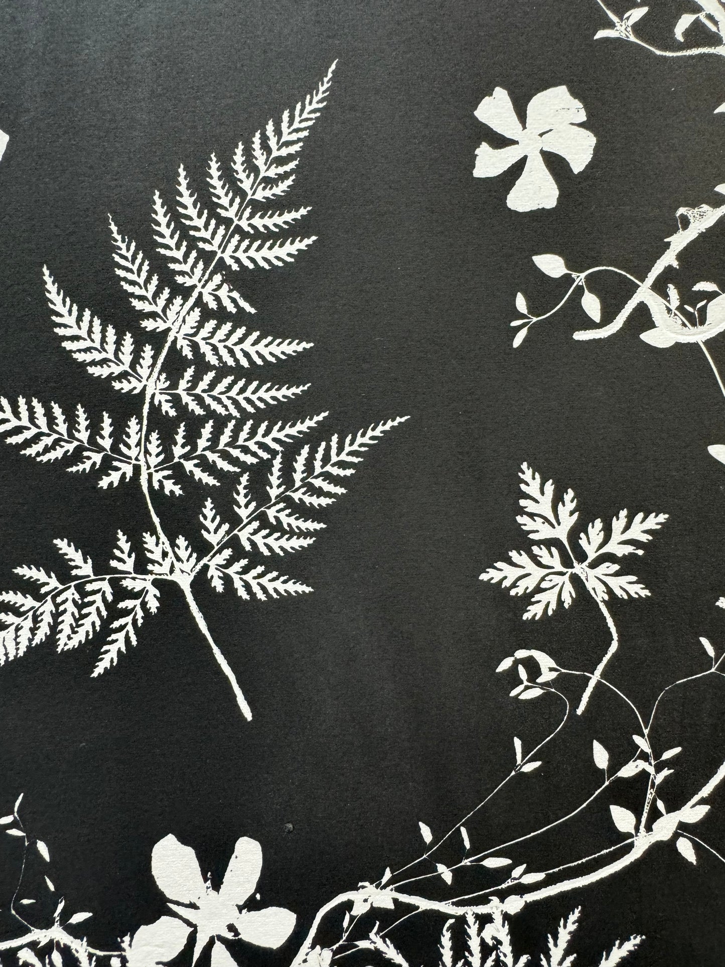 Black and White Botanical Arrangement, made from real plants. Printed on museum quality paper.