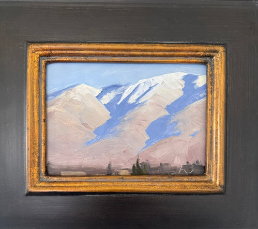 Soft Light. 5x7 Original Oil Painting