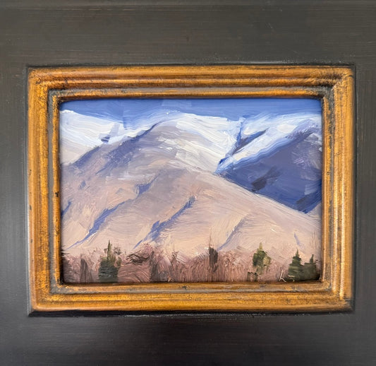 Early Spring. 5x7 Original Oil Painting