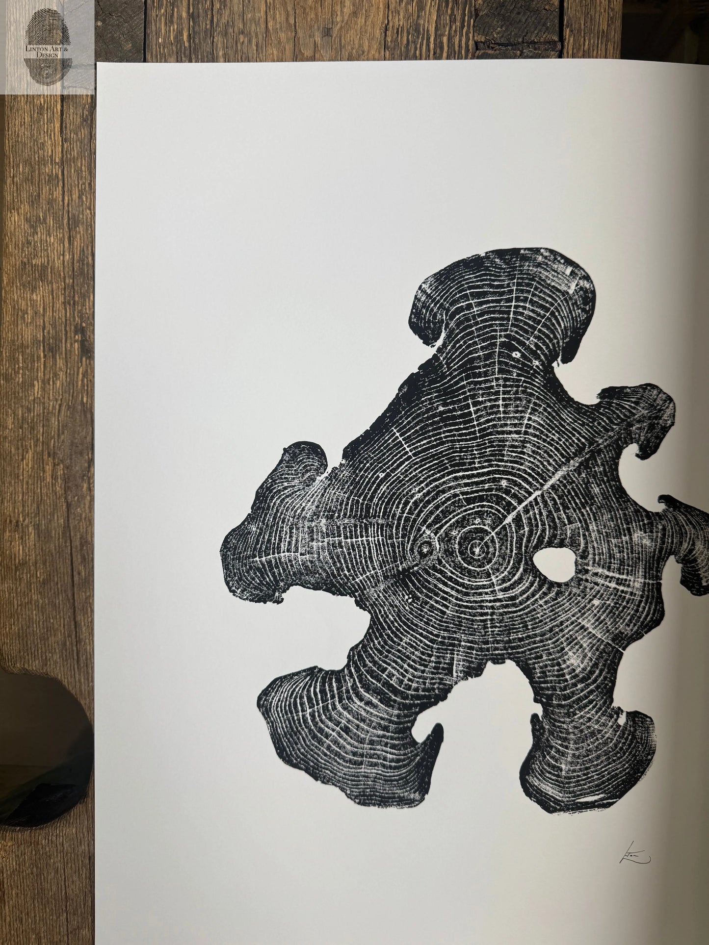Acacia Tree Ring Wall Art – Ukraine Woodcut Print – 18x24 Original, Signed lintonart