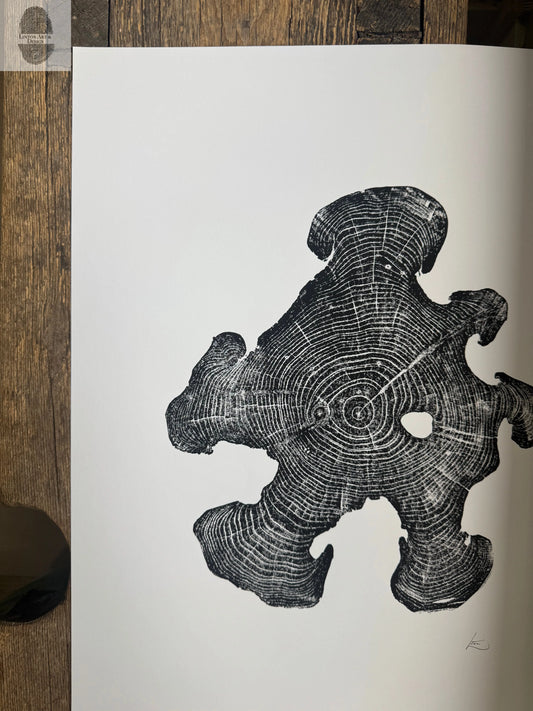 Acacia Tree Ring Wall Art – Ukraine Woodcut Print – 18x24 Original, Signed lintonart