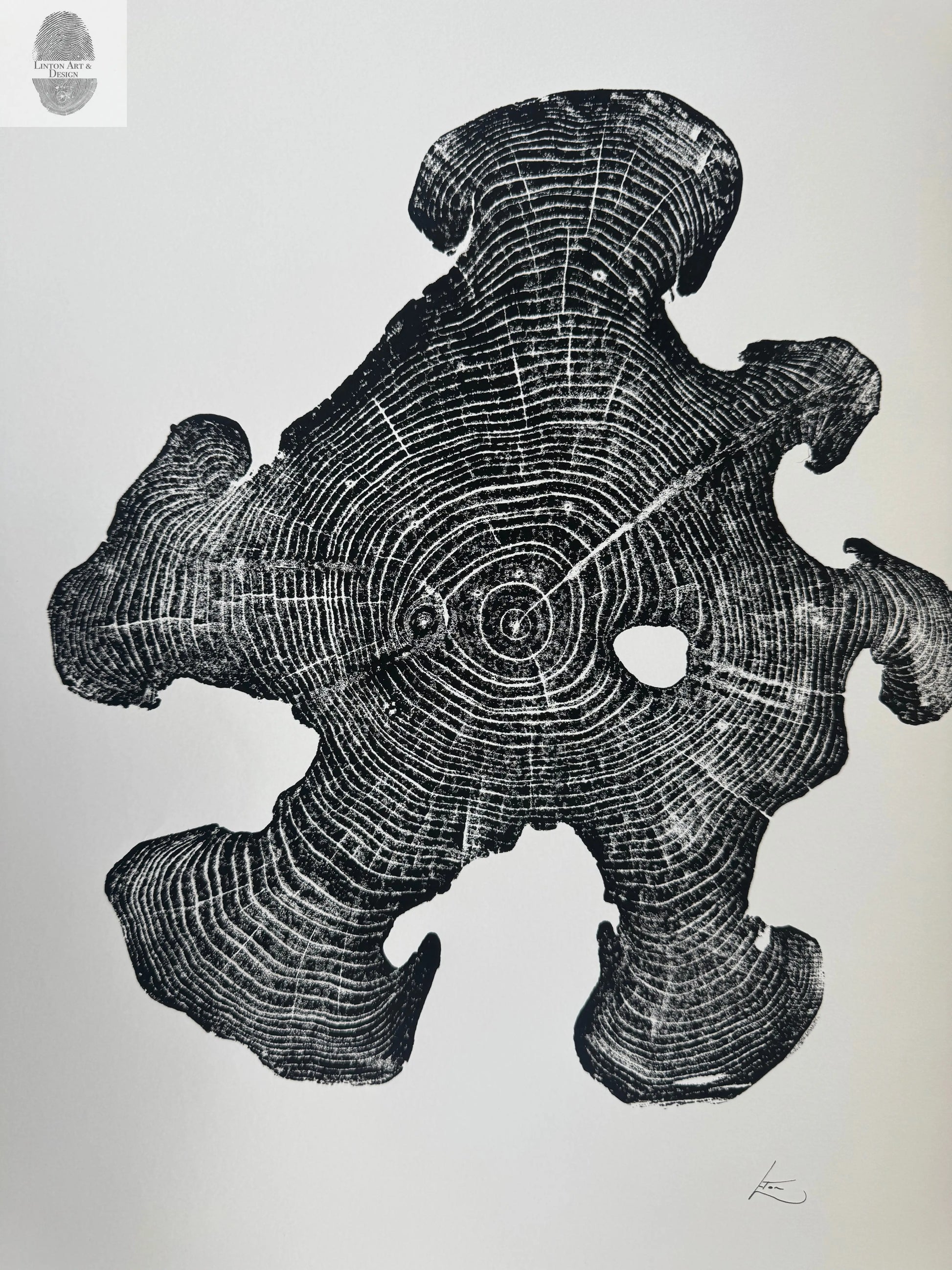 Acacia Tree Ring Wall Art – Ukraine Woodcut Print – 18x24 Original, Signed lintonart