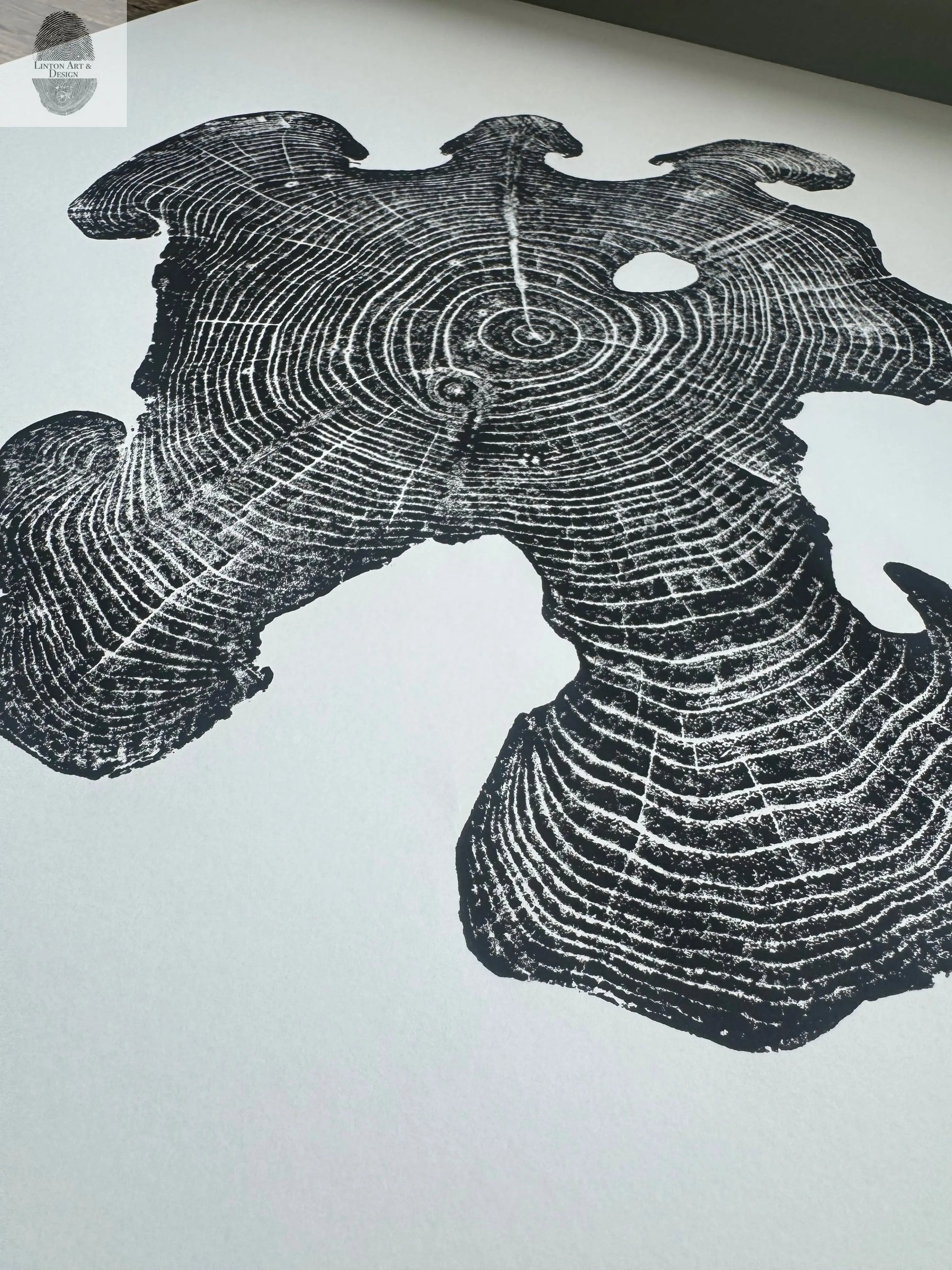 Acacia Tree Ring Wall Art – Ukraine Woodcut Print – 18x24 Original, Signed lintonart