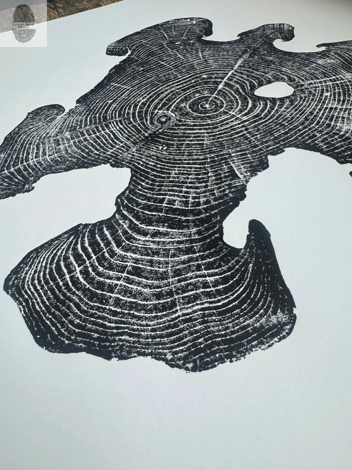 Acacia Tree Ring Wall Art – Ukraine Woodcut Print – 18x24 Original, Signed lintonart