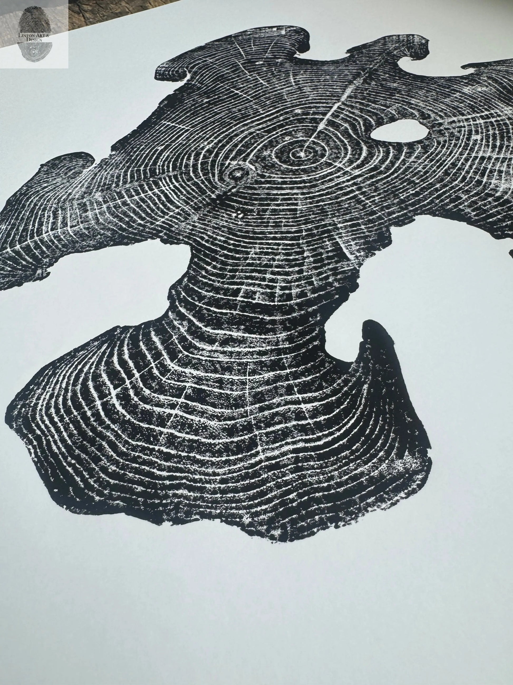 Acacia Tree Ring Wall Art – Ukraine Woodcut Print – 18x24 Original, Signed lintonart